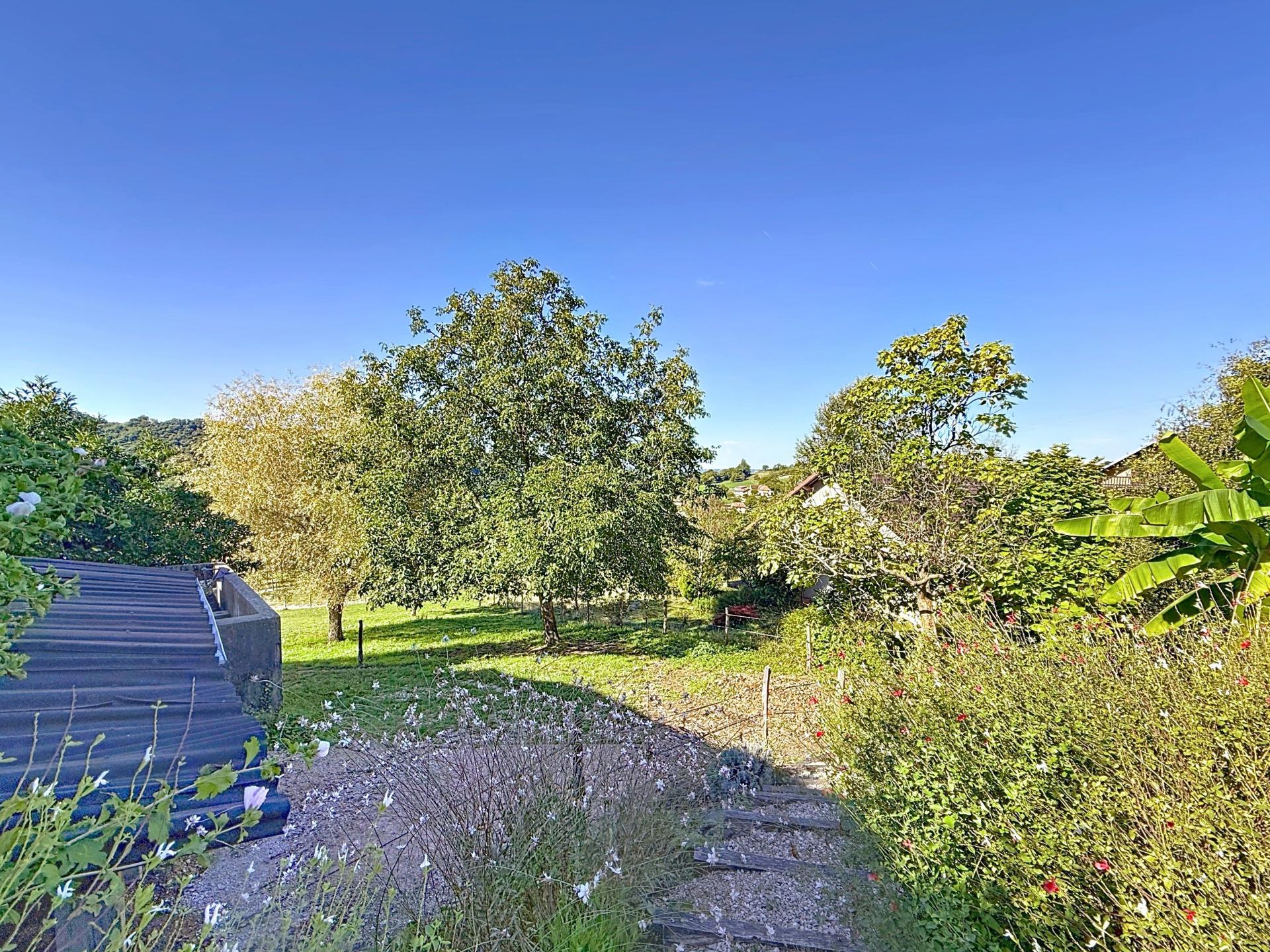 Photo 19 de l'annonce.