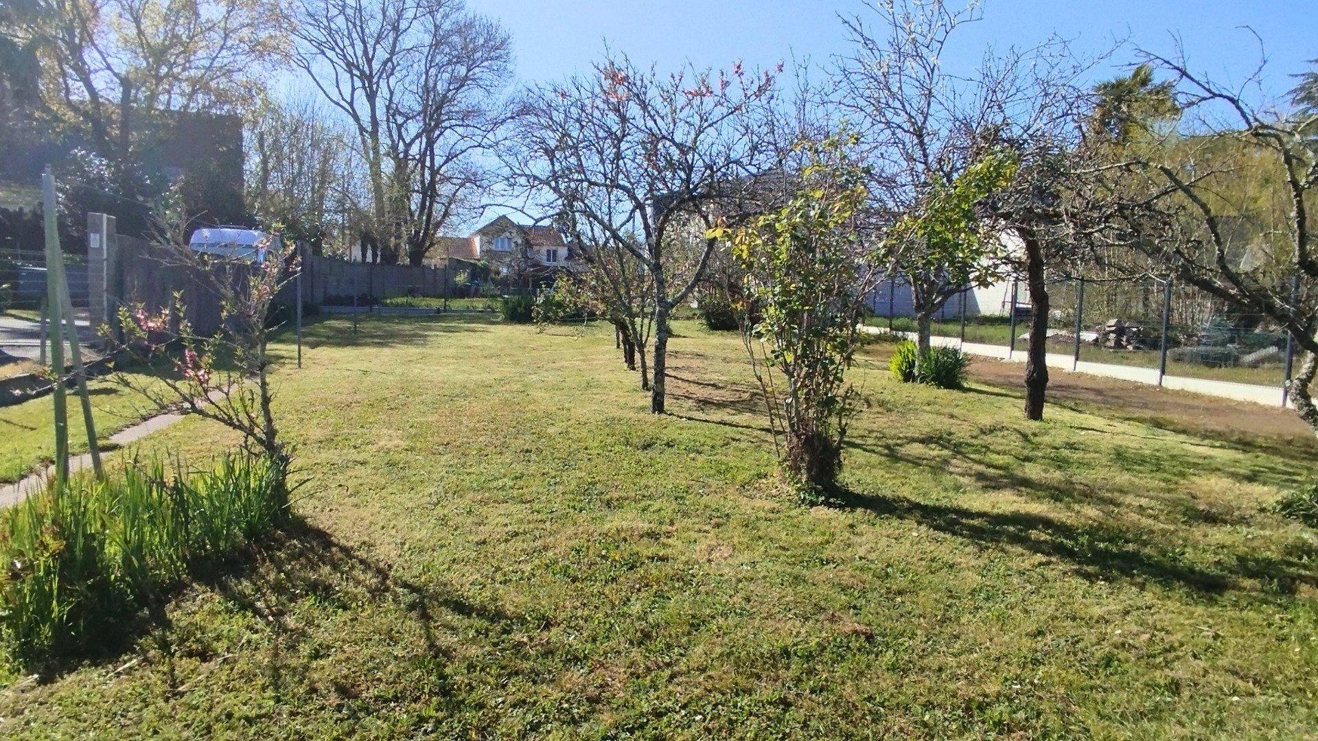 Photo-terrain