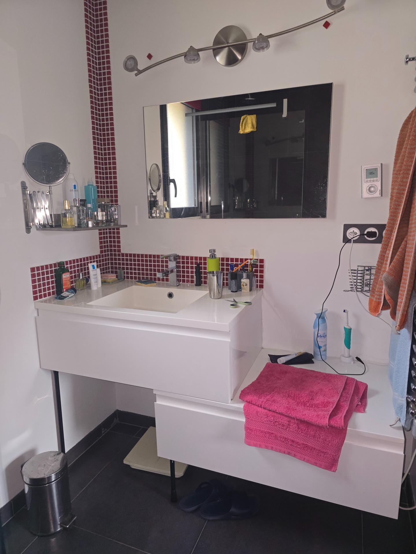 Photo 8 de l'annonce.