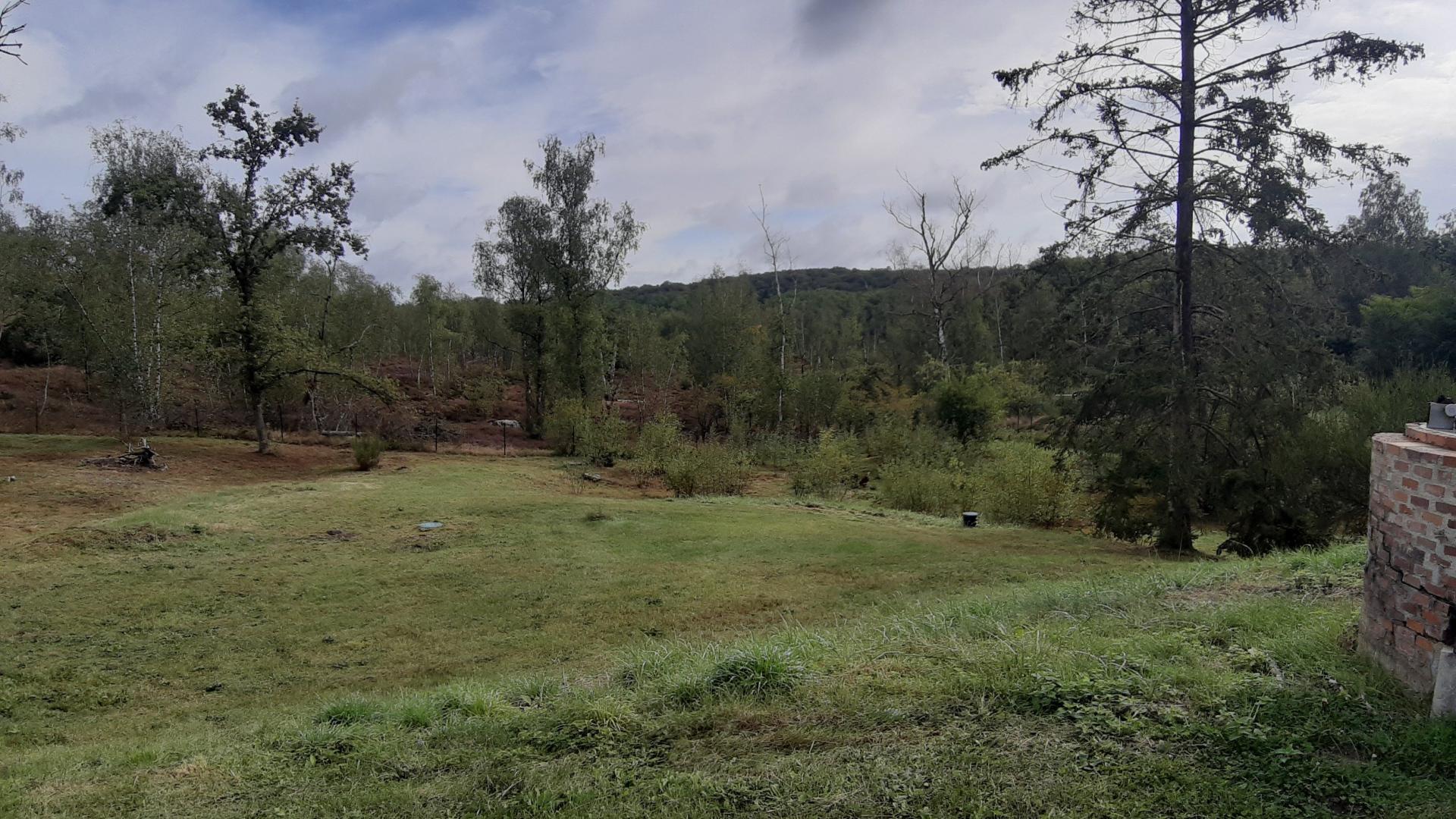 Foto 12 del anuncio.