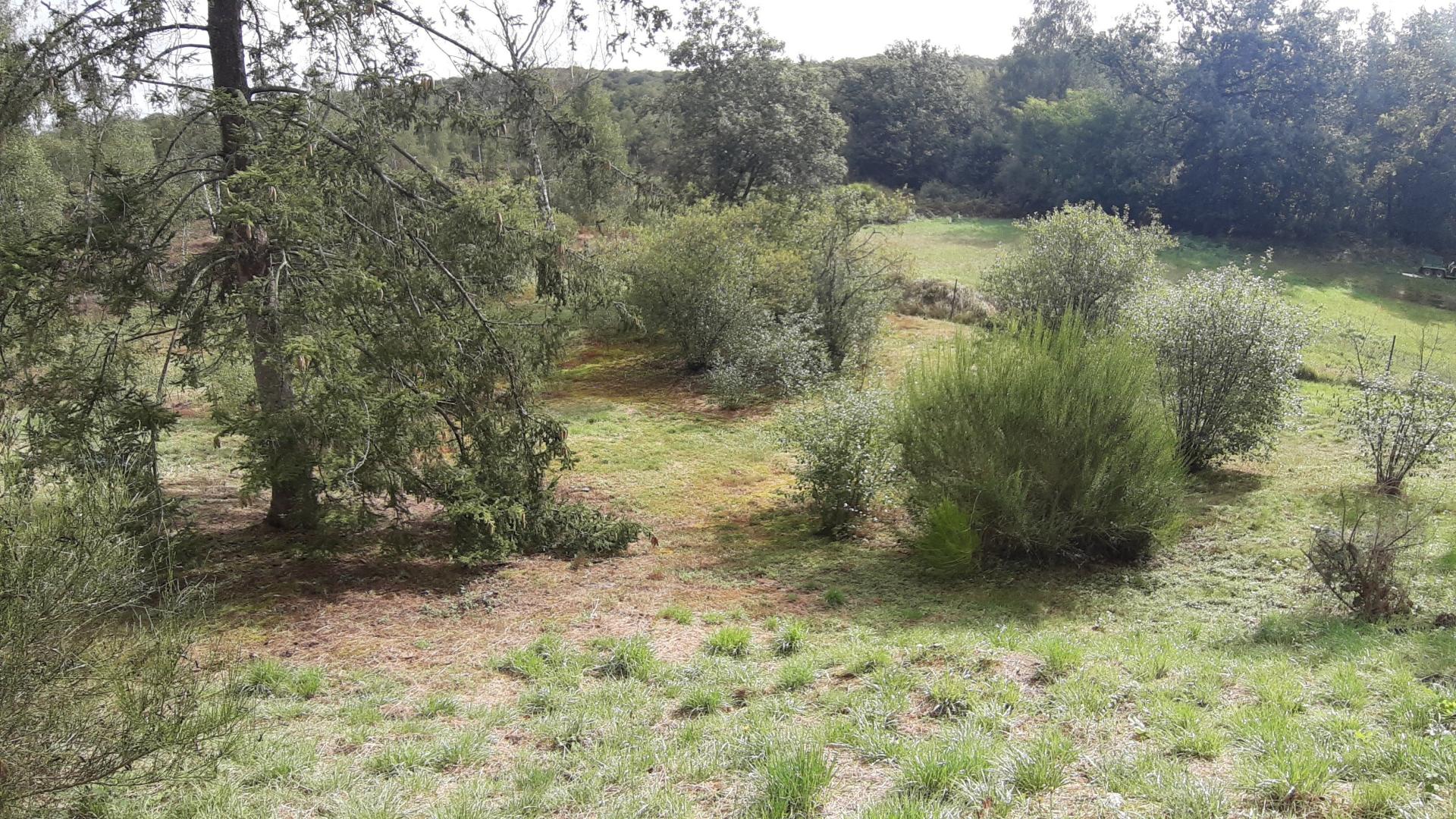 Foto 18 del anuncio.