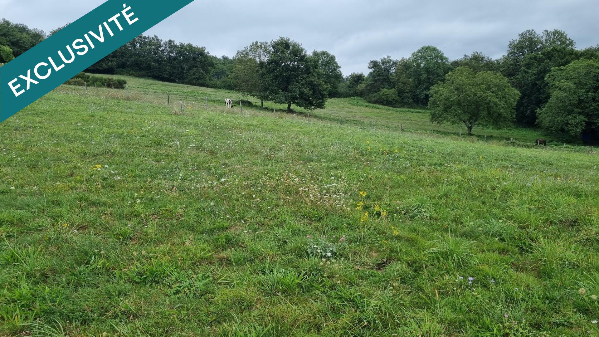 Terrain a batir de 1568 m² Busset avec vue sur la chaîne des Puys