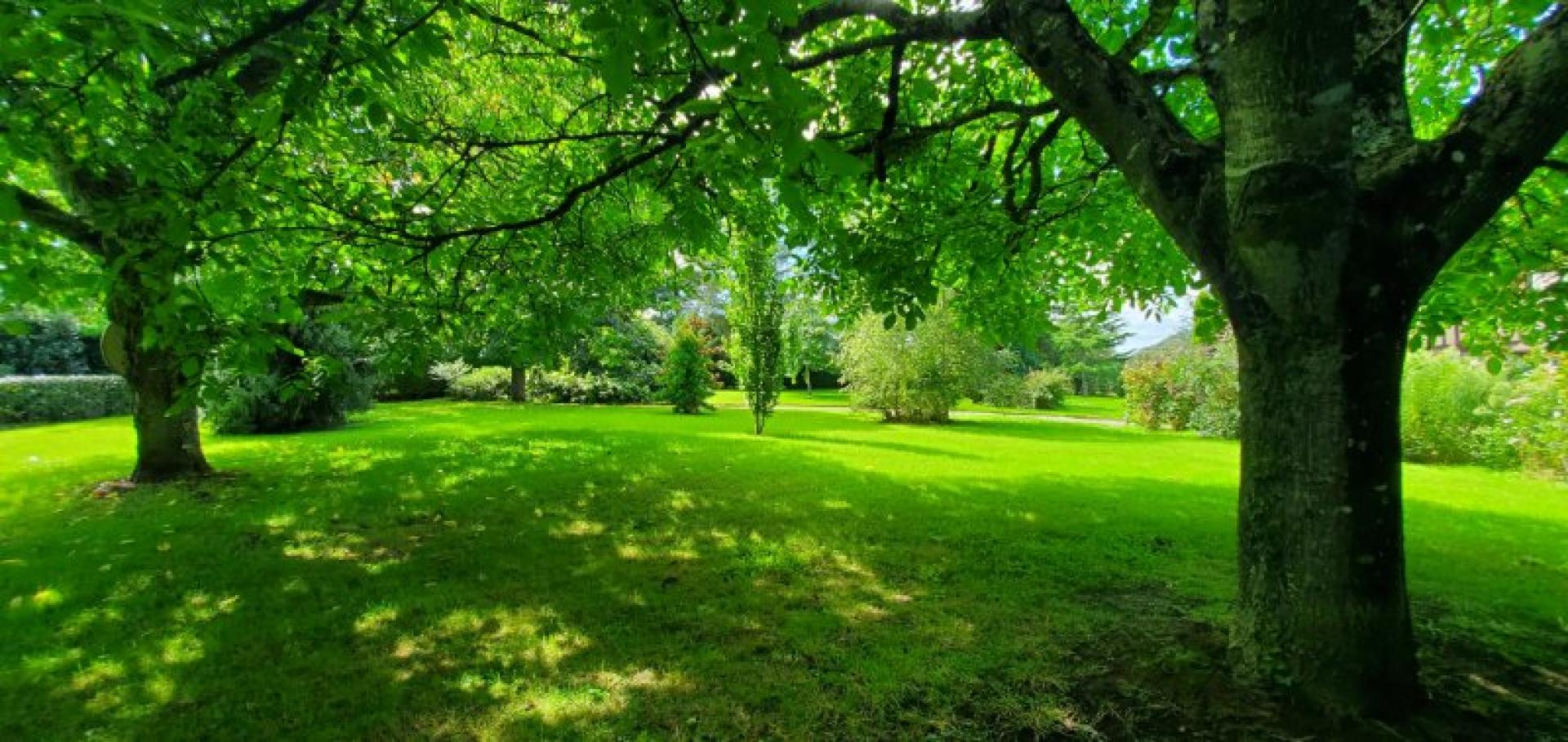 Photo 17 de l'annonce.