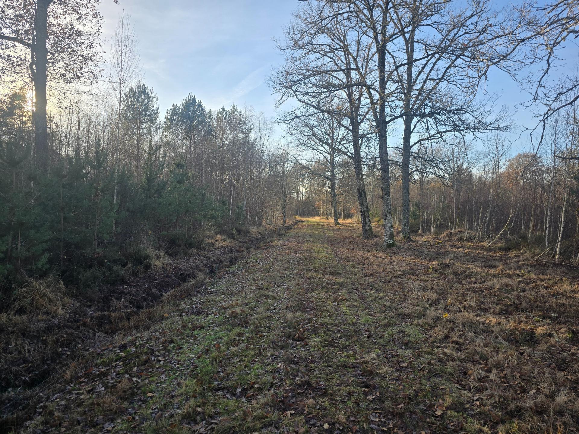 Photo 15 de l'annonce.