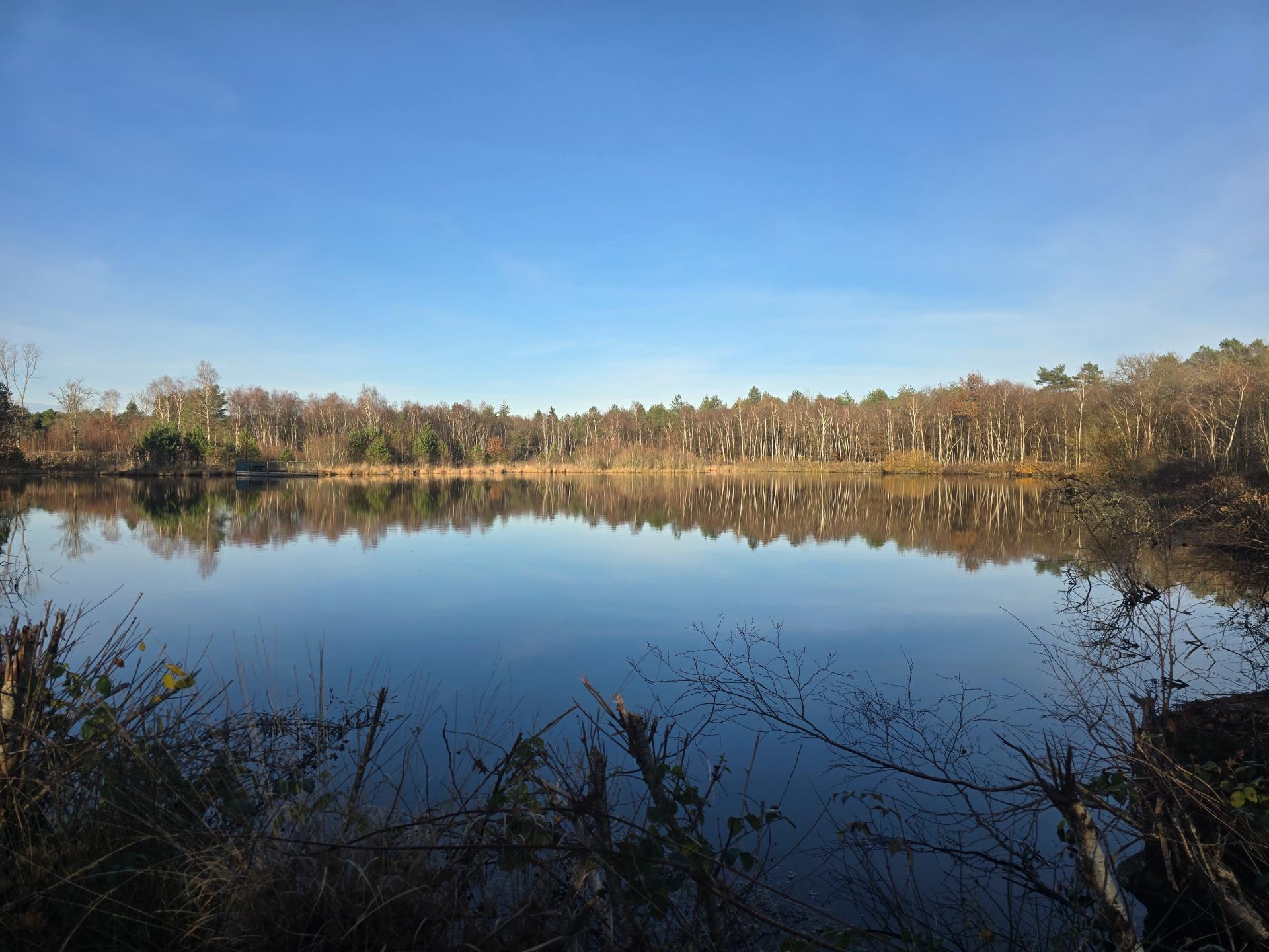 Photo 3 de l'annonce.