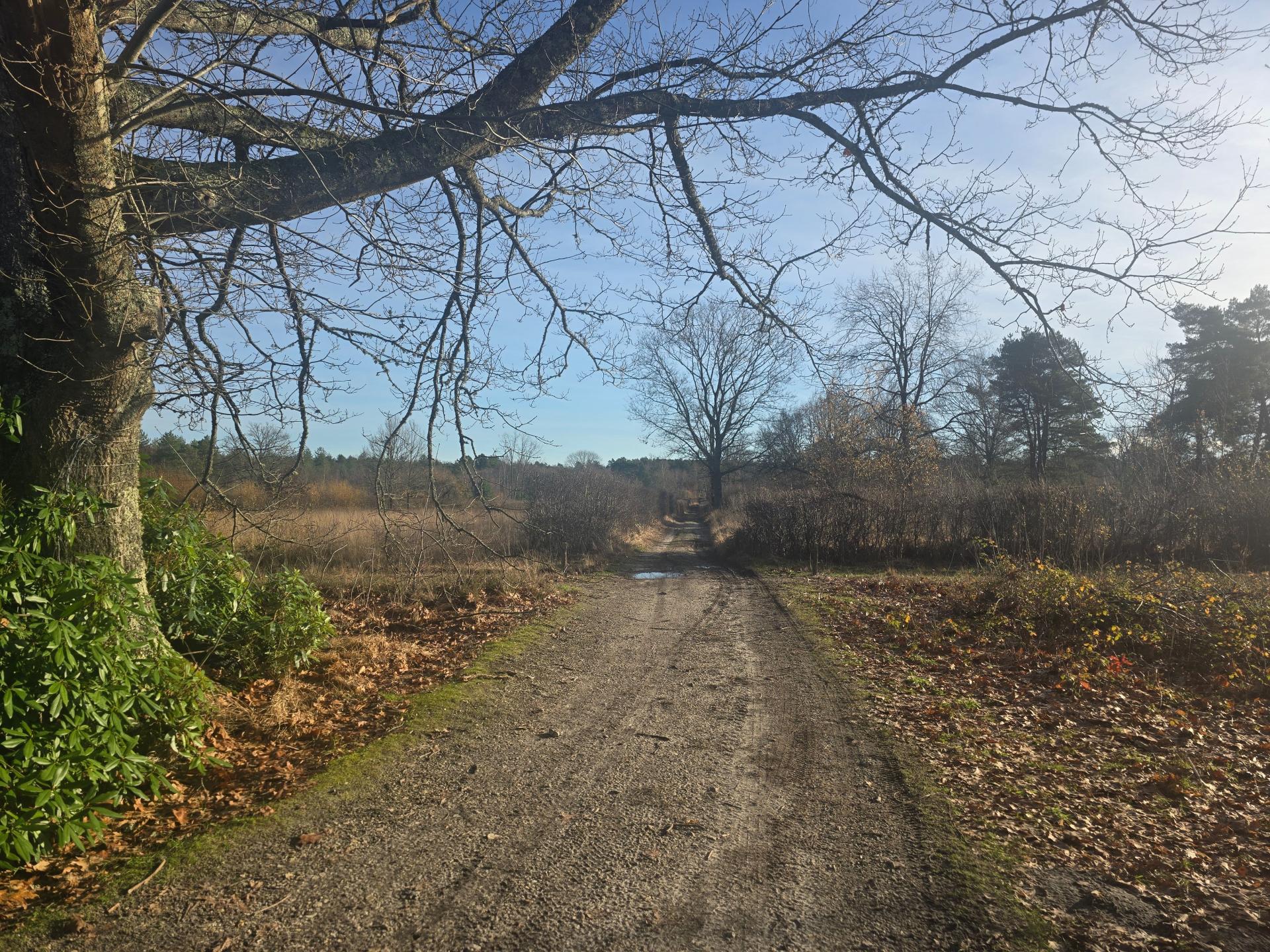 Photo 17 de l'annonce.