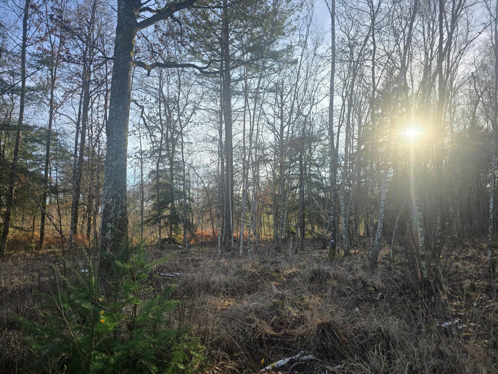 Photo 19 de l'annonce.