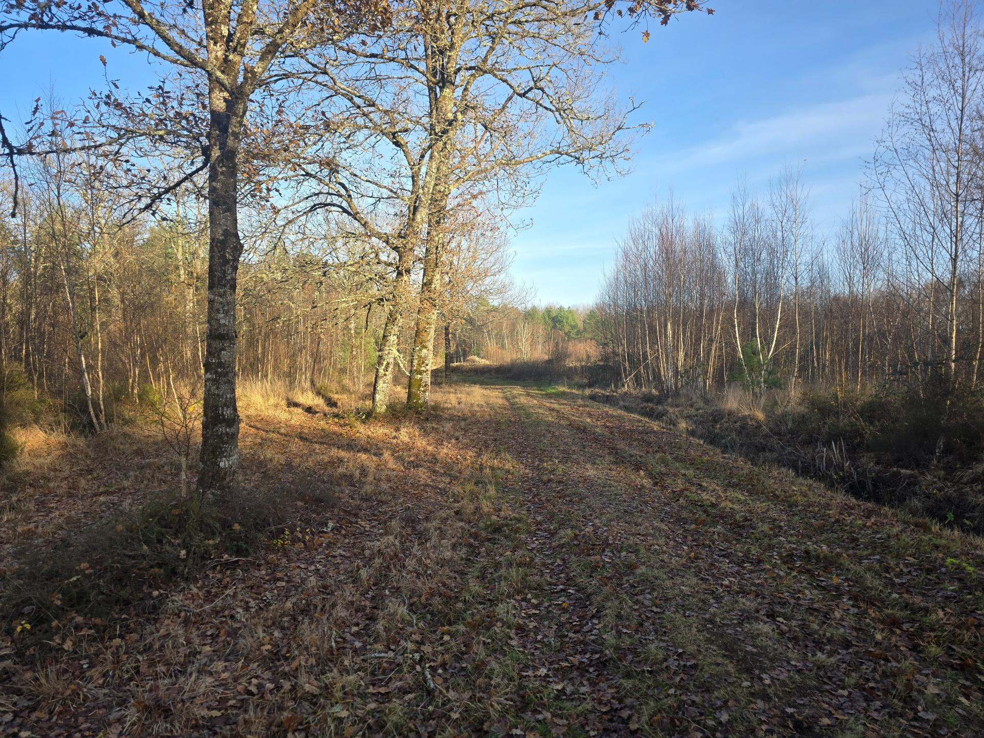 Photo 13 de l'annonce.