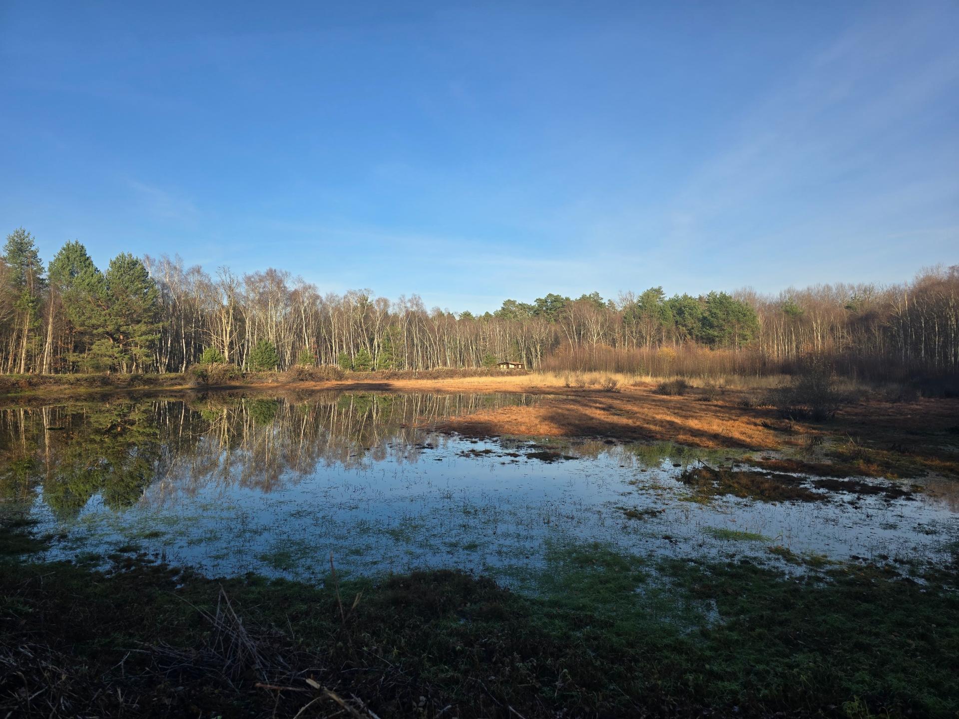 Photo 12 de l'annonce.