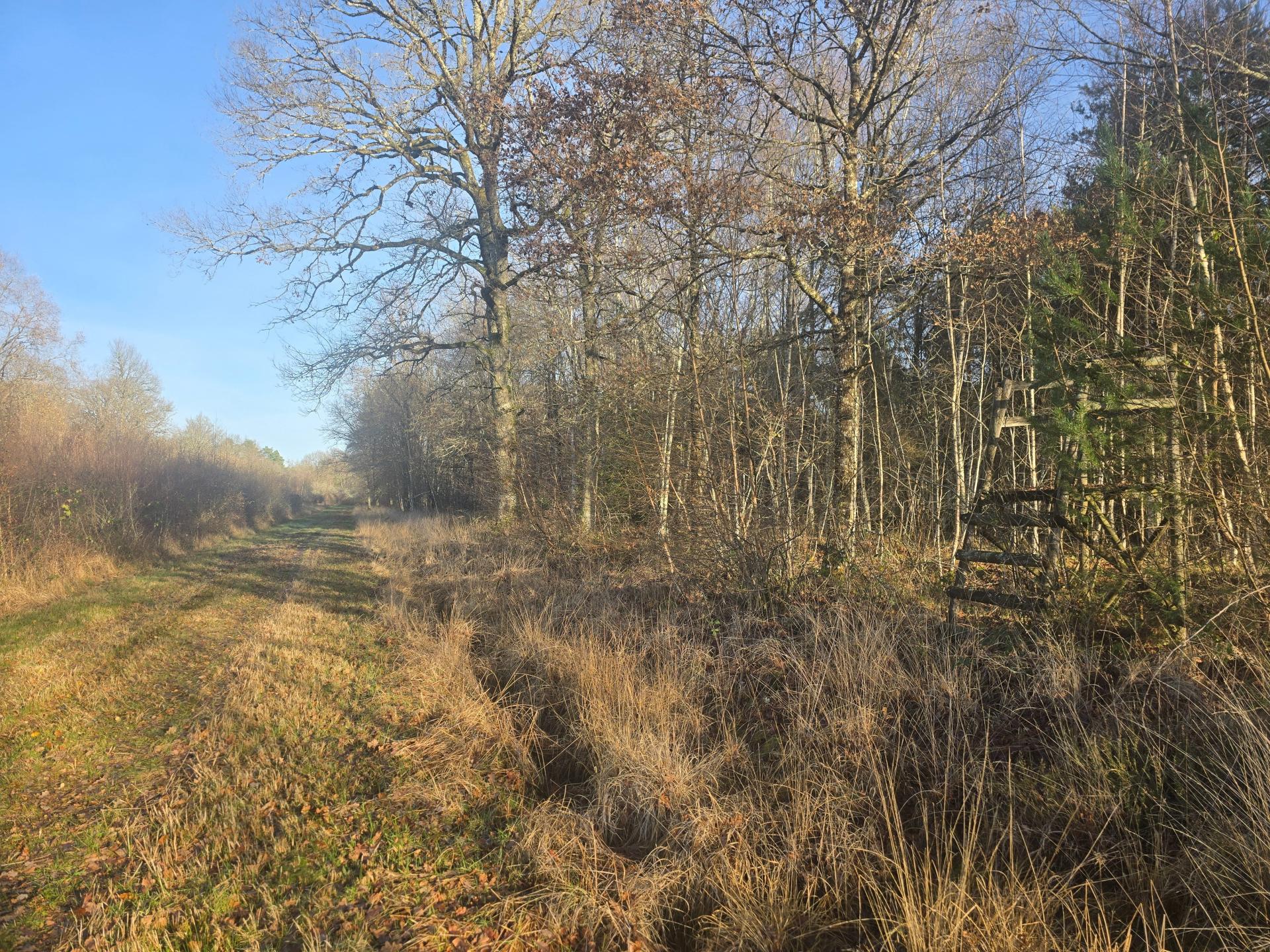 Photo 16 de l'annonce.