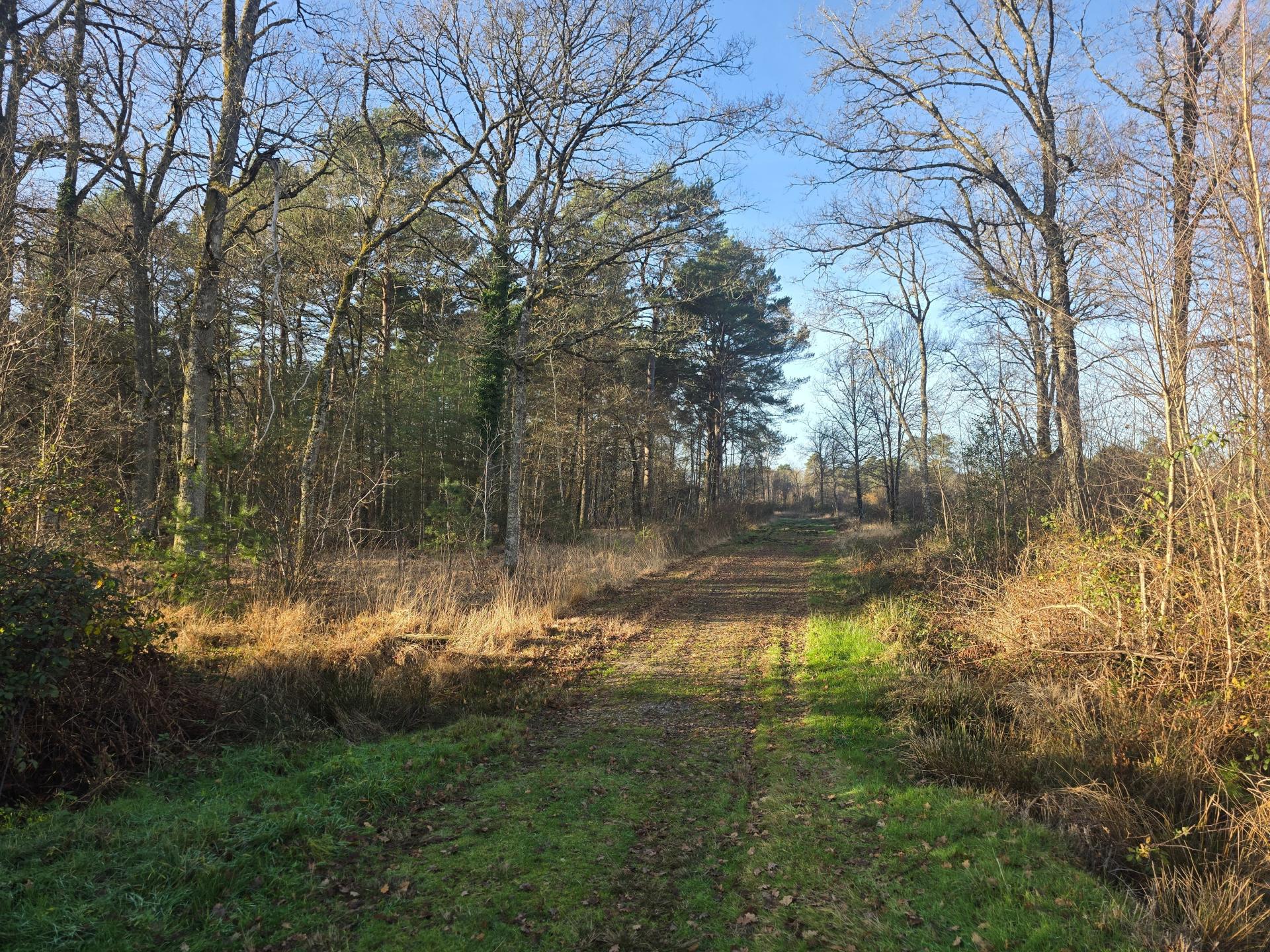 Photo 18 de l'annonce.