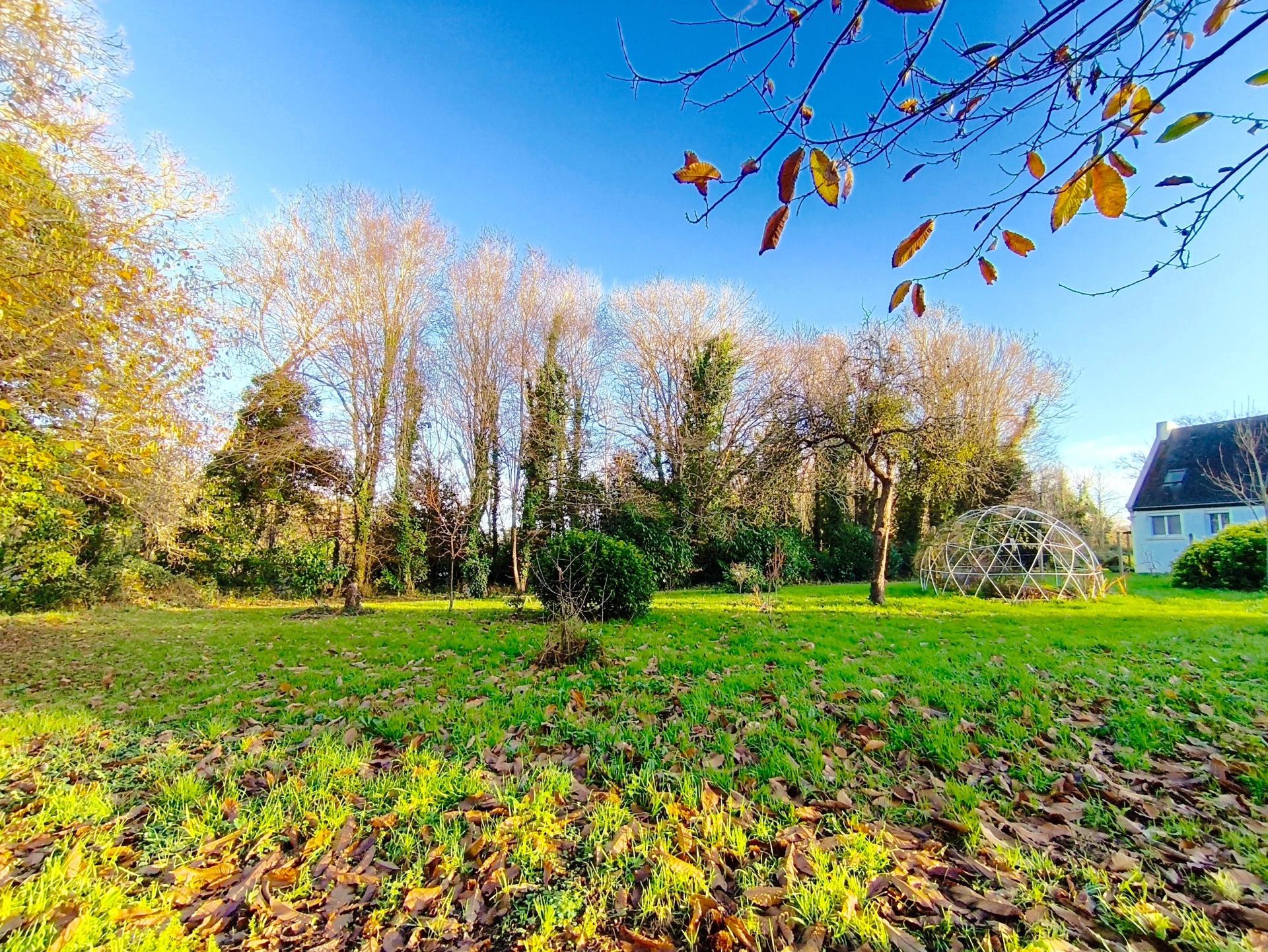 Photo 13 de l'annonce.