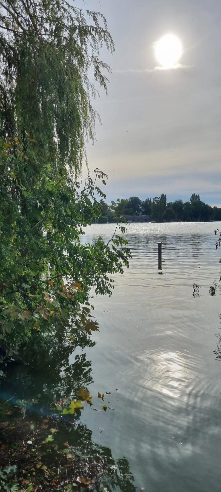 Photo 8 de l'annonce.