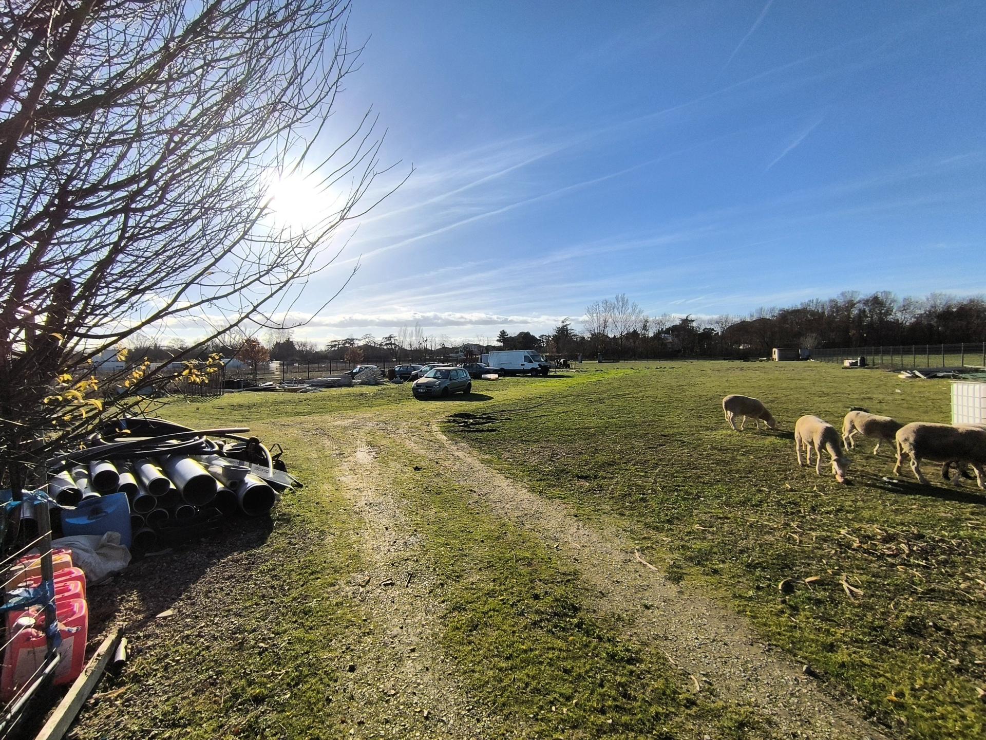 Photo 4 de l'annonce.