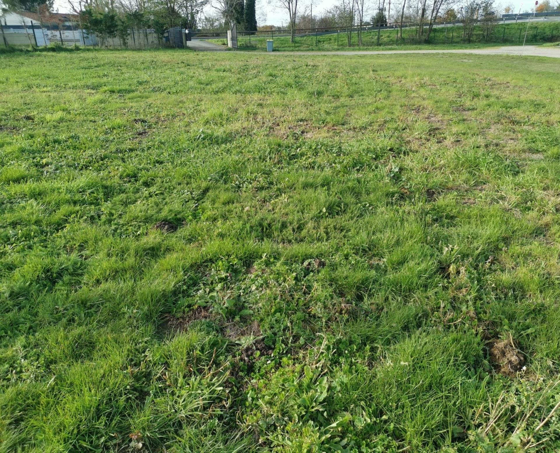 Photo 4 of the listing.