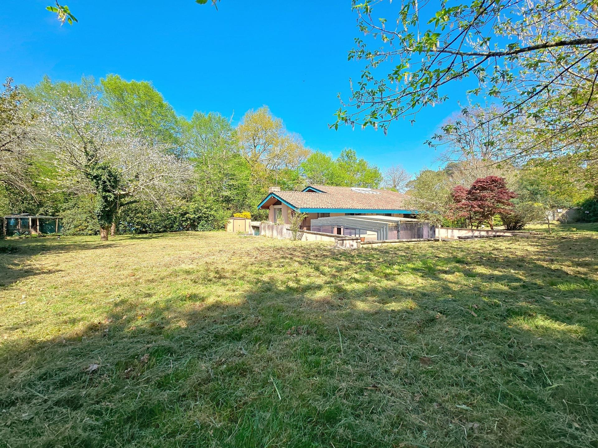 Photo 12 de l'annonce.