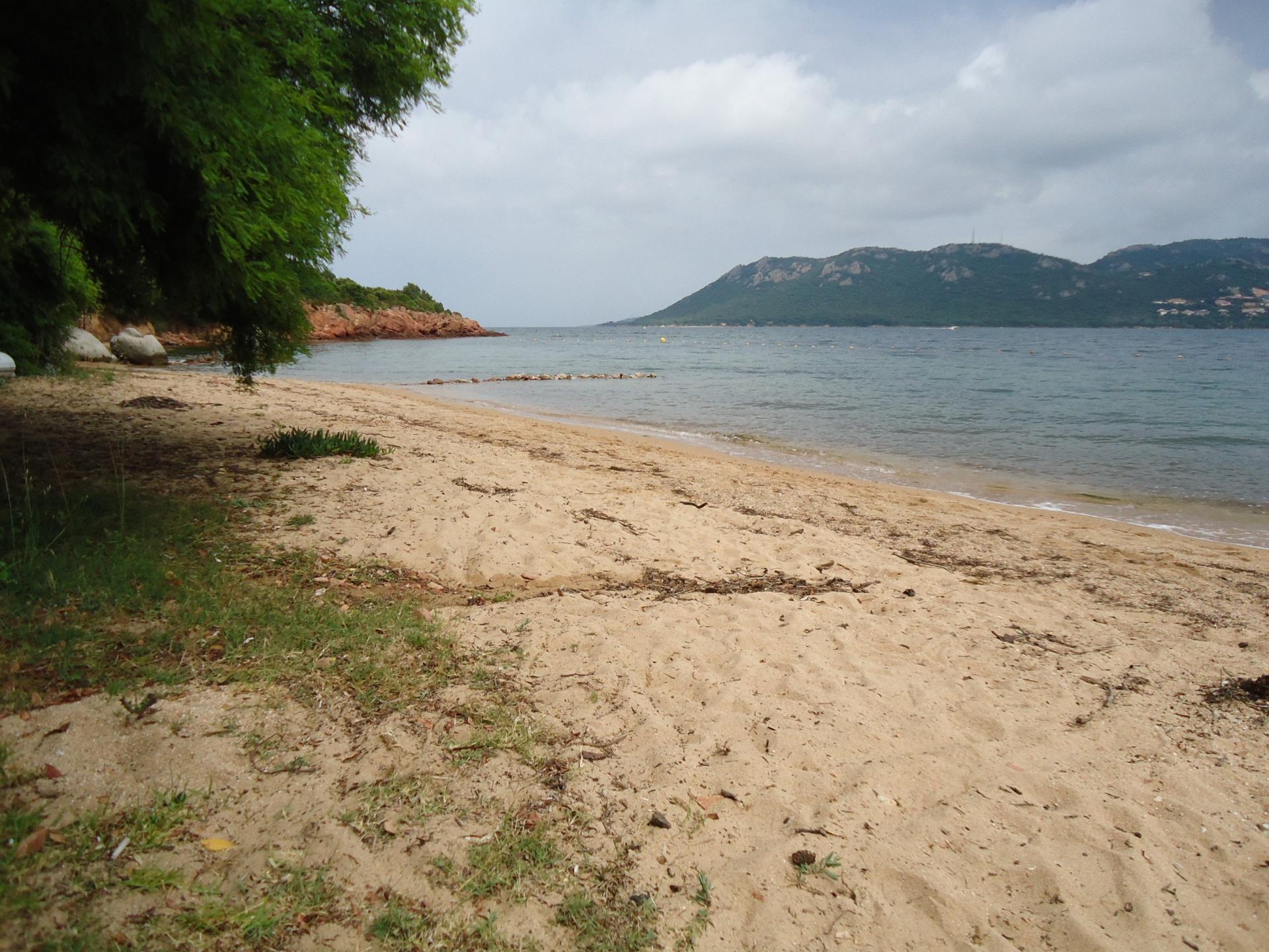 Photo 2 de l'annonce.