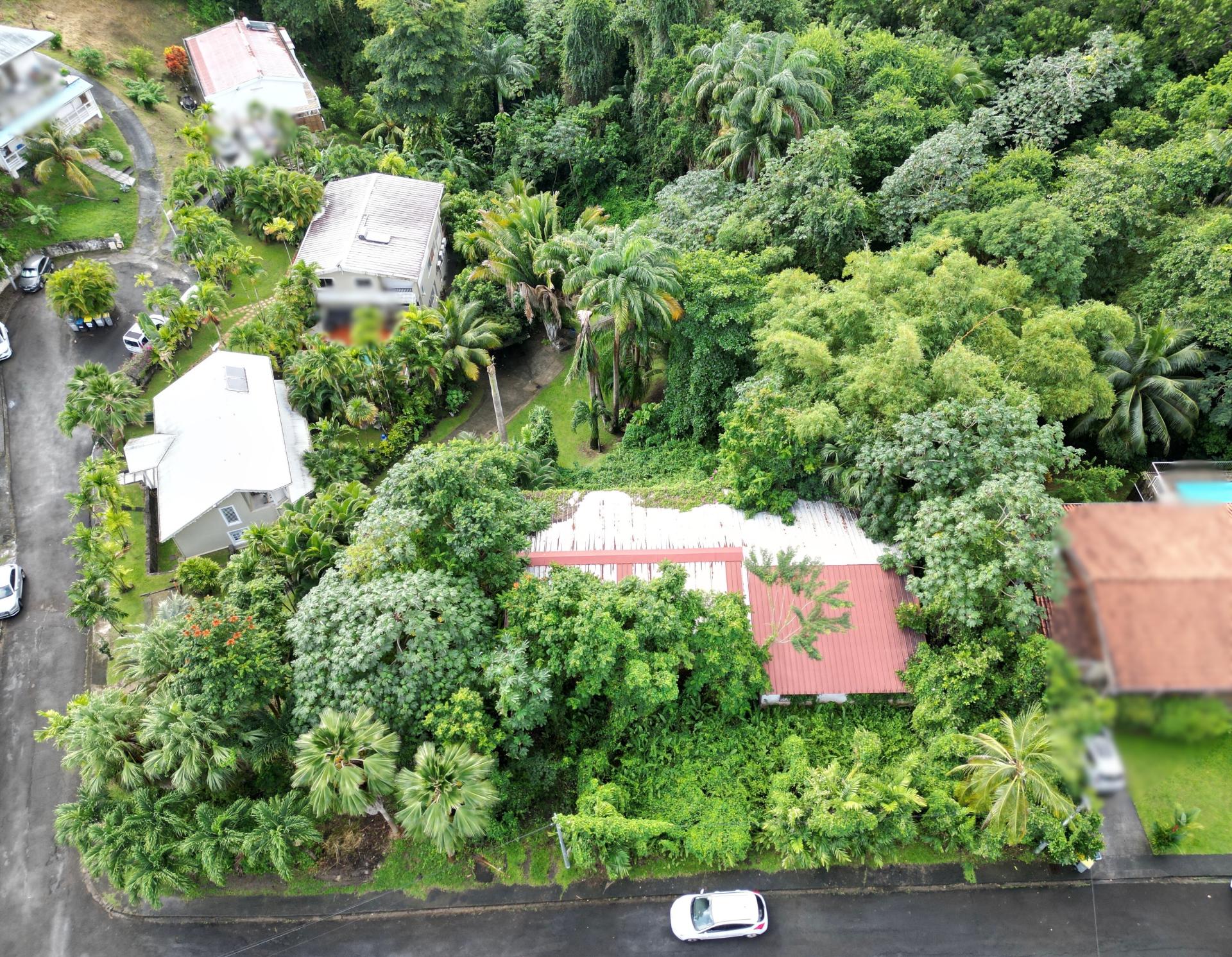 Photo 4 de l'annonce.