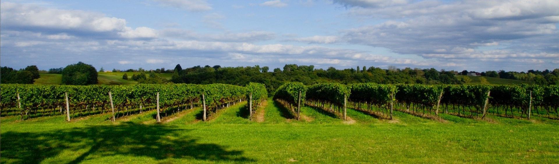 Photo 4 de l'annonce.