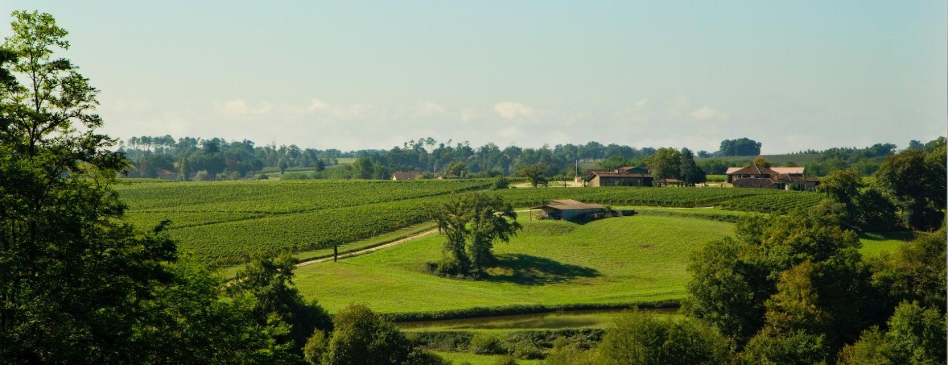 Photo 3 de l'annonce.