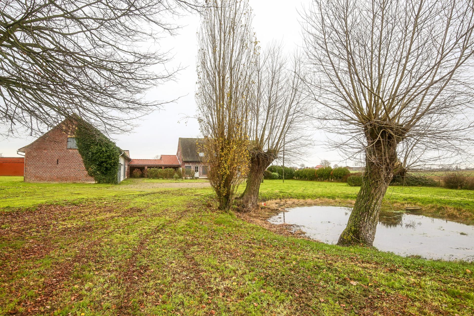 Photo 3 de l'annonce.