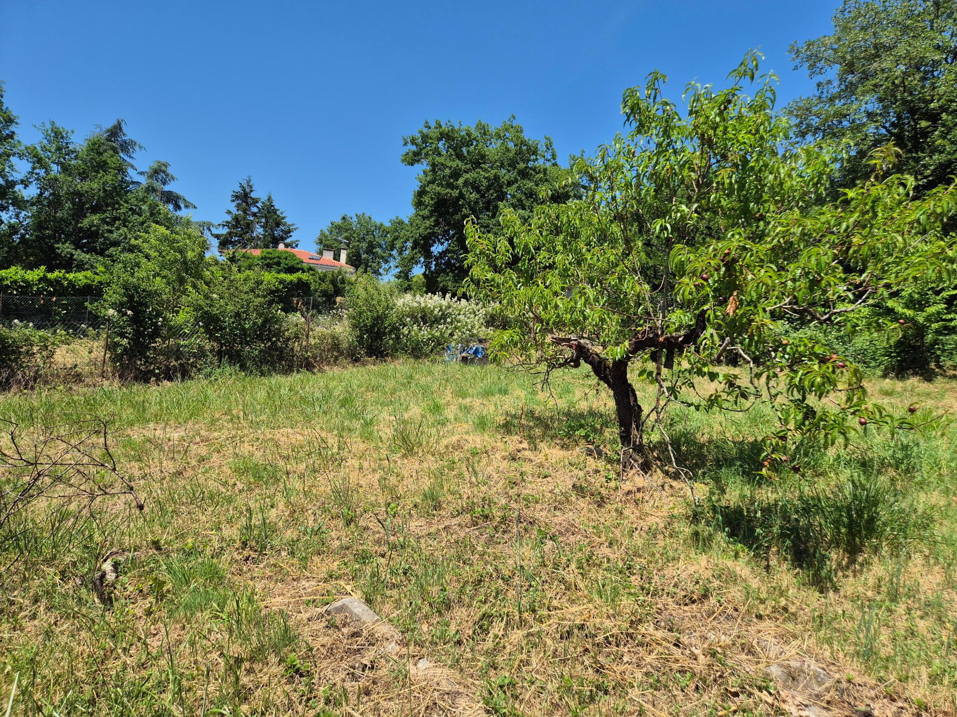Photo-terrain