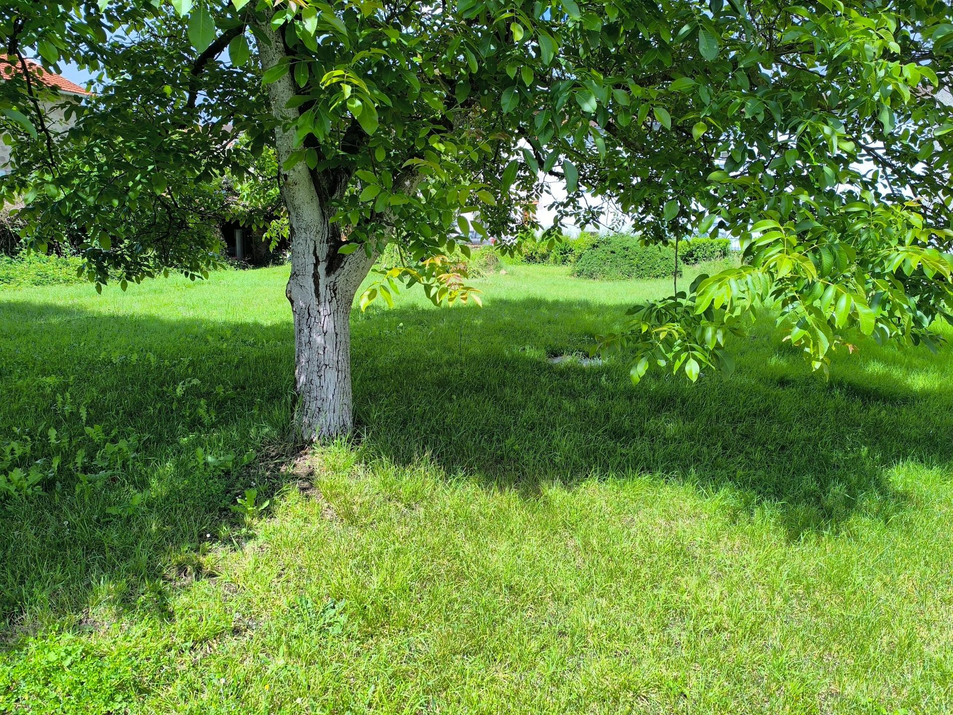 Photo-terrain