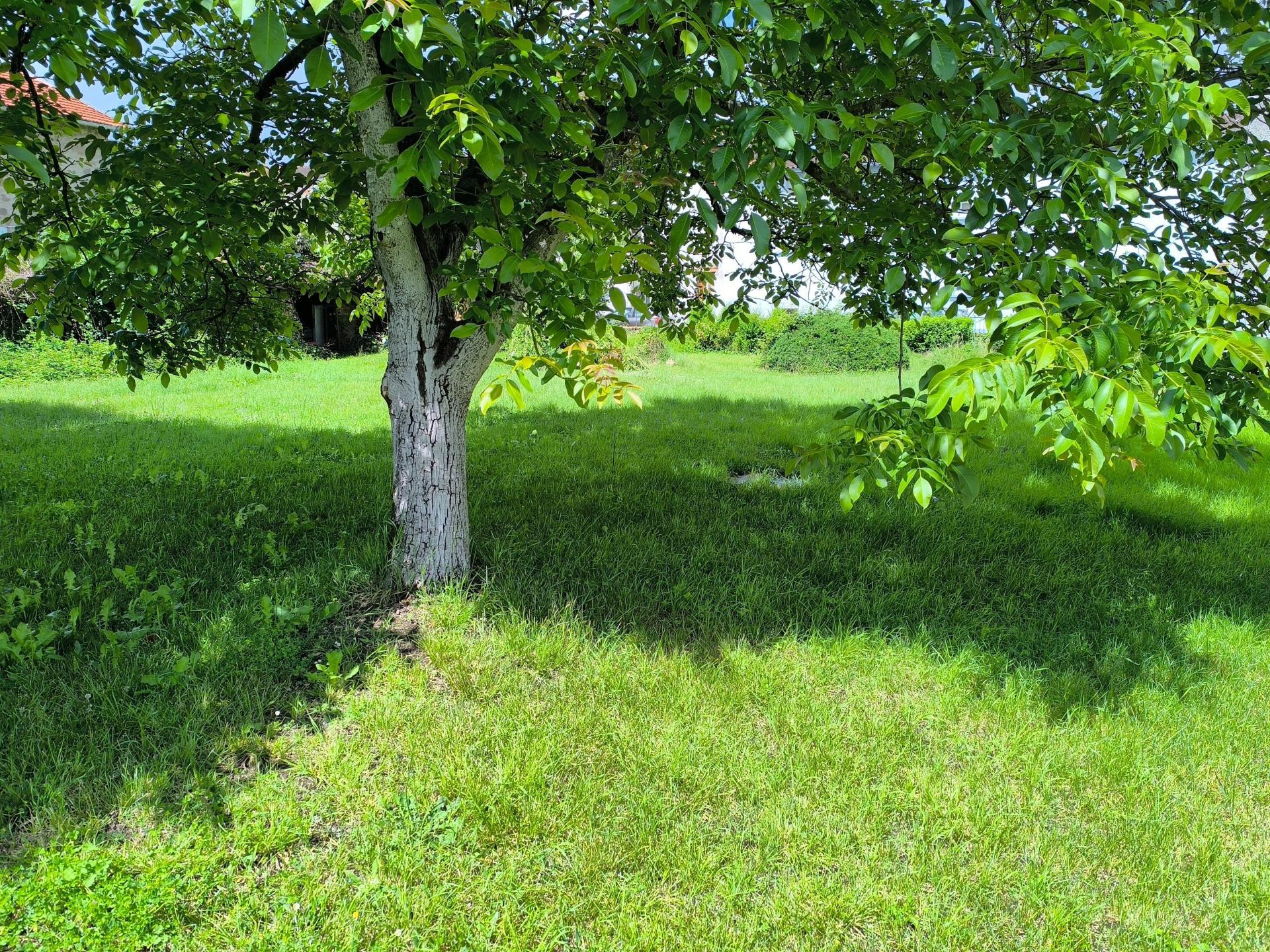 Photo-terrain