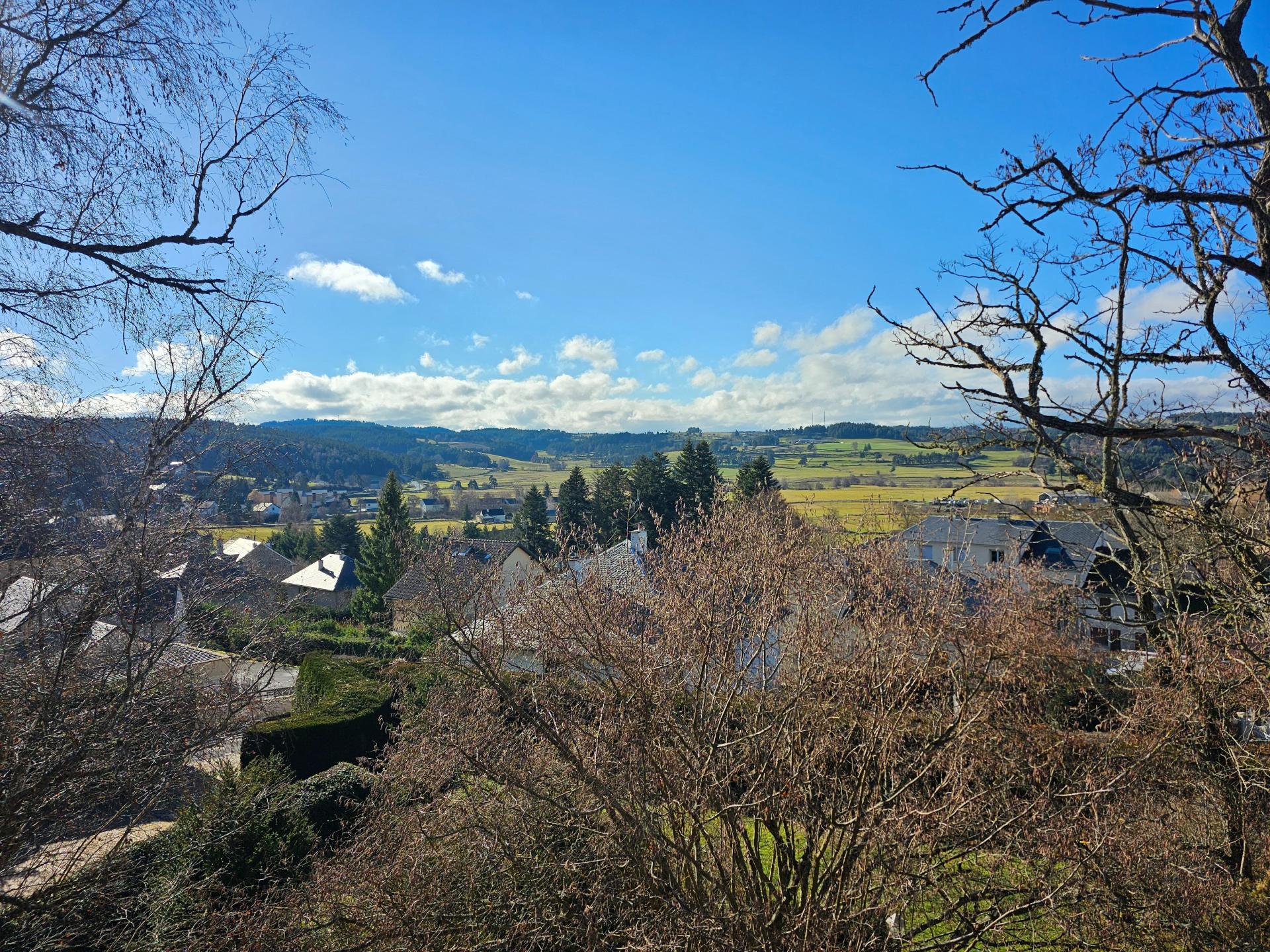 Photo 2 de l'annonce.