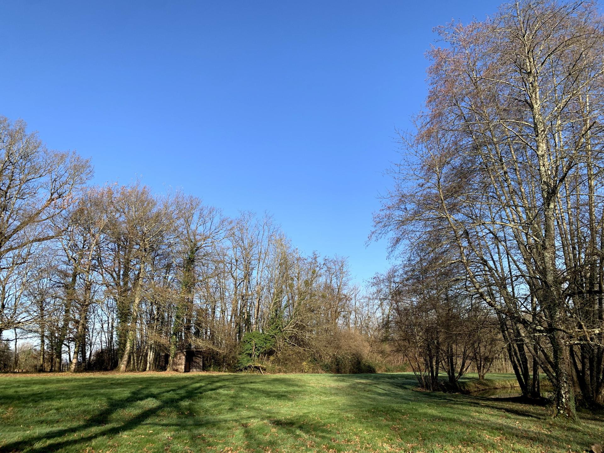 Photo 3 de l'annonce.