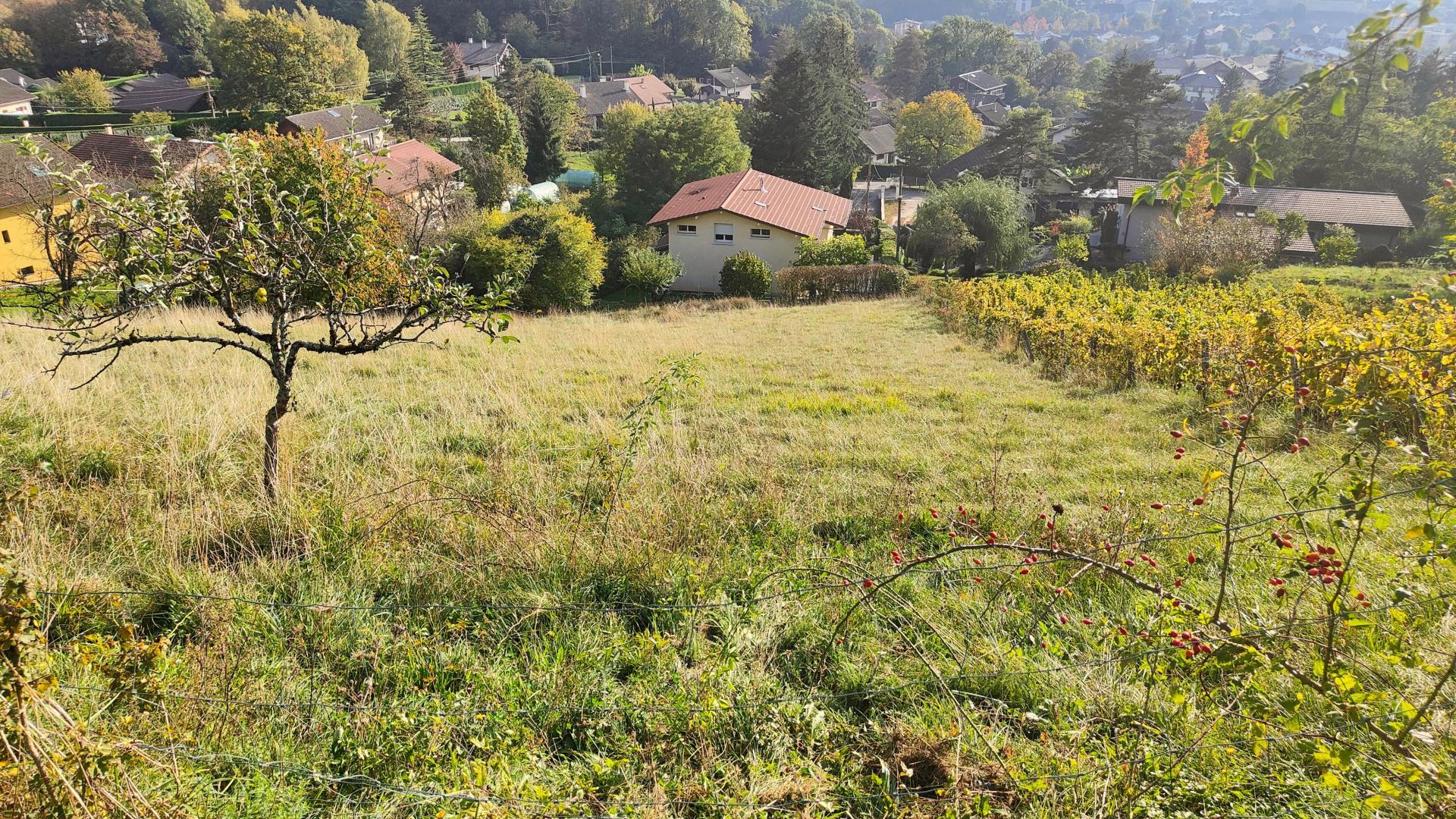 Photo-terrain