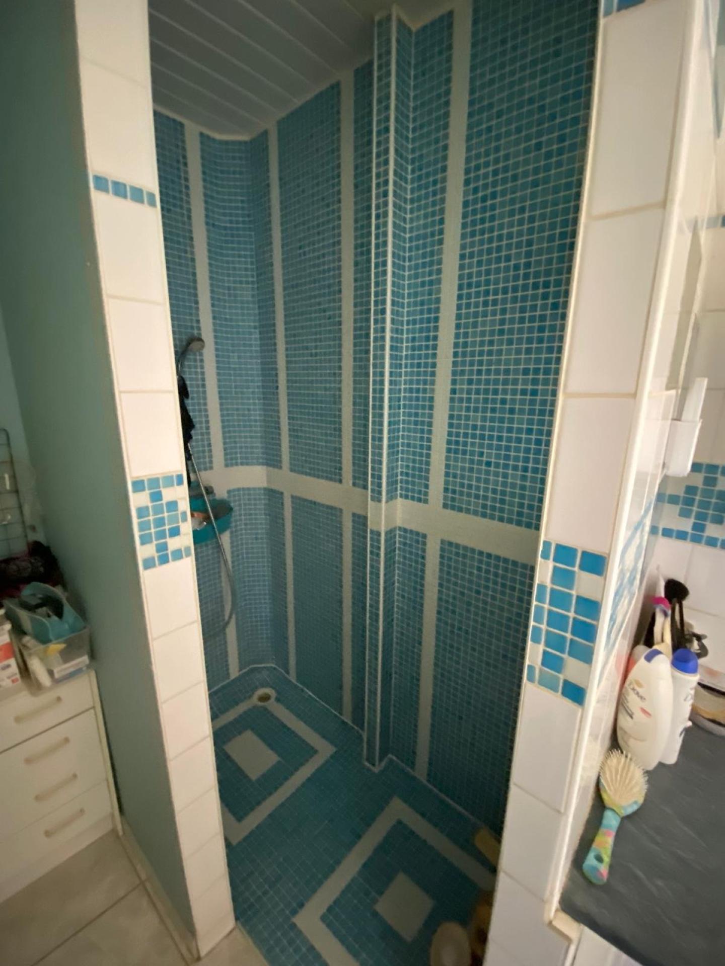 Photo 15 de l'annonce.