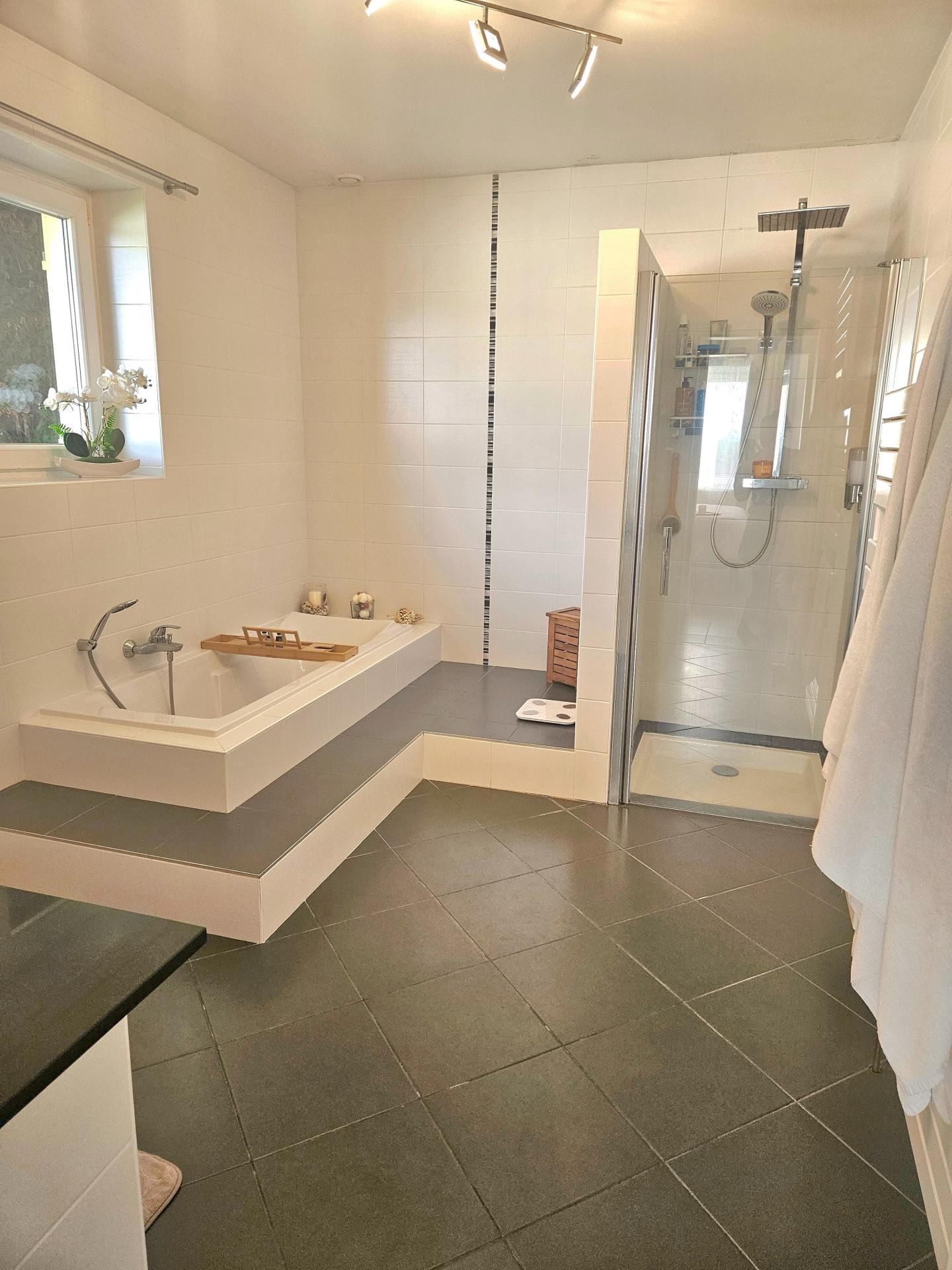 Photo 8 de l'annonce.