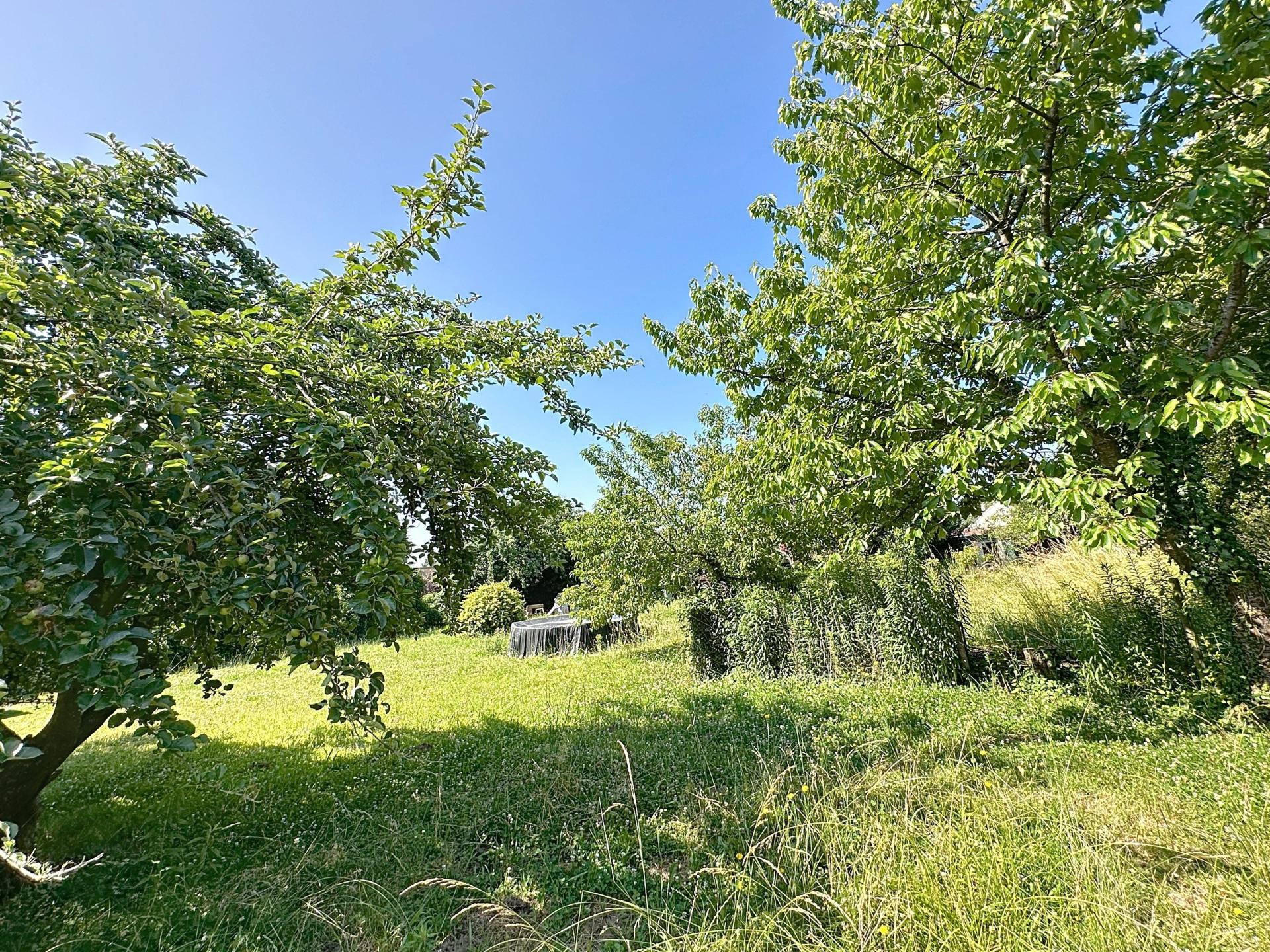 Photo 12 de l'annonce.