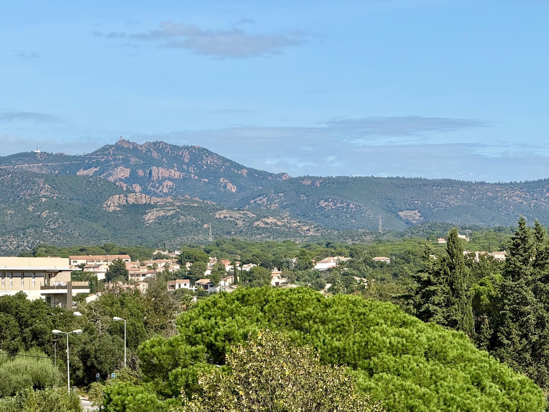 Photo 3 de l'annonce.