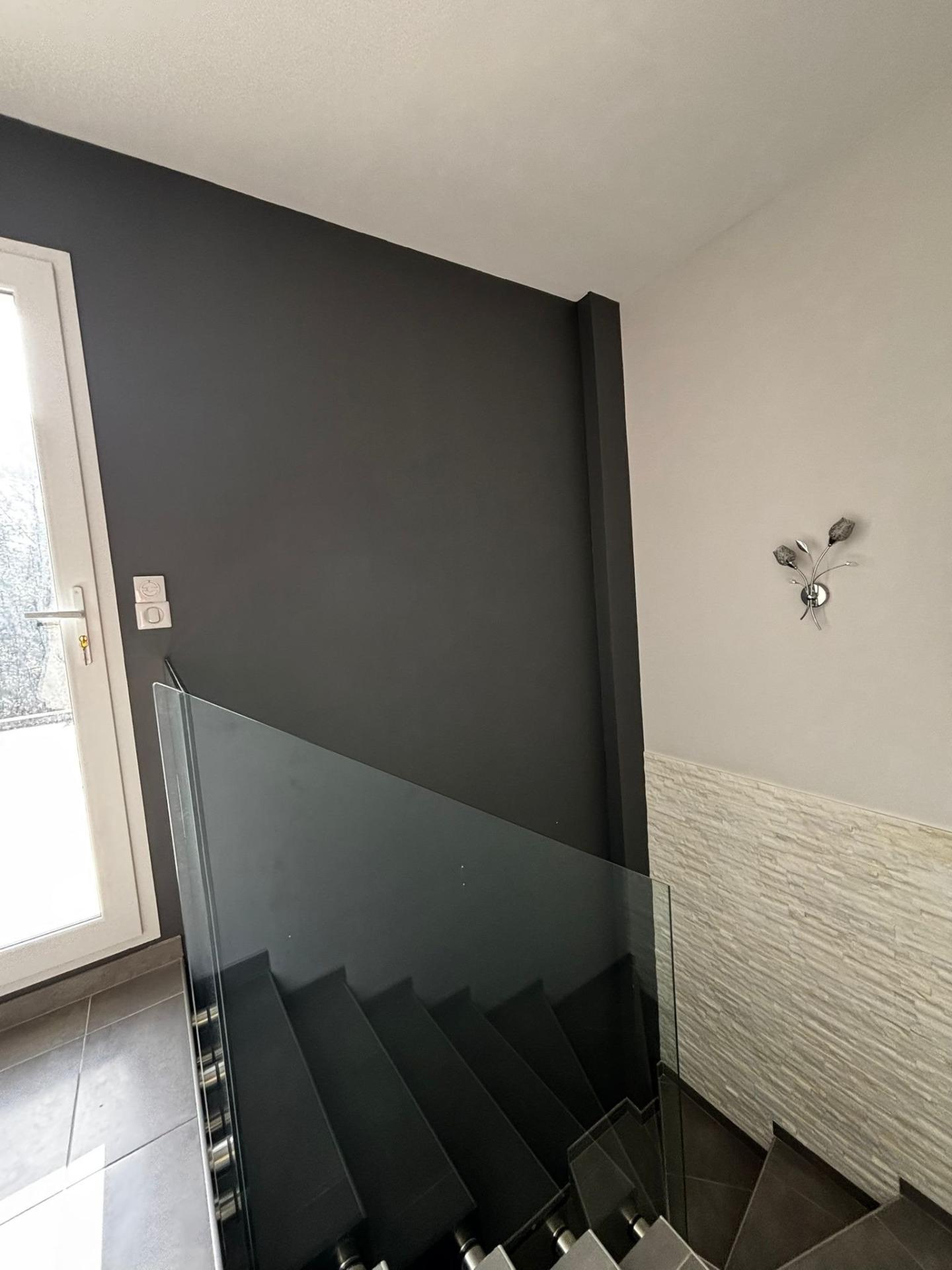 Photo 11 de l'annonce.