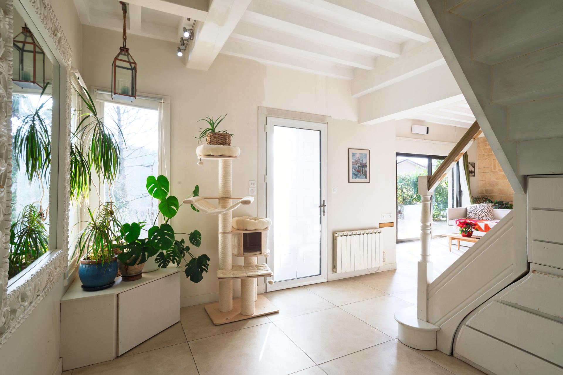 Photo 9 de l'annonce.