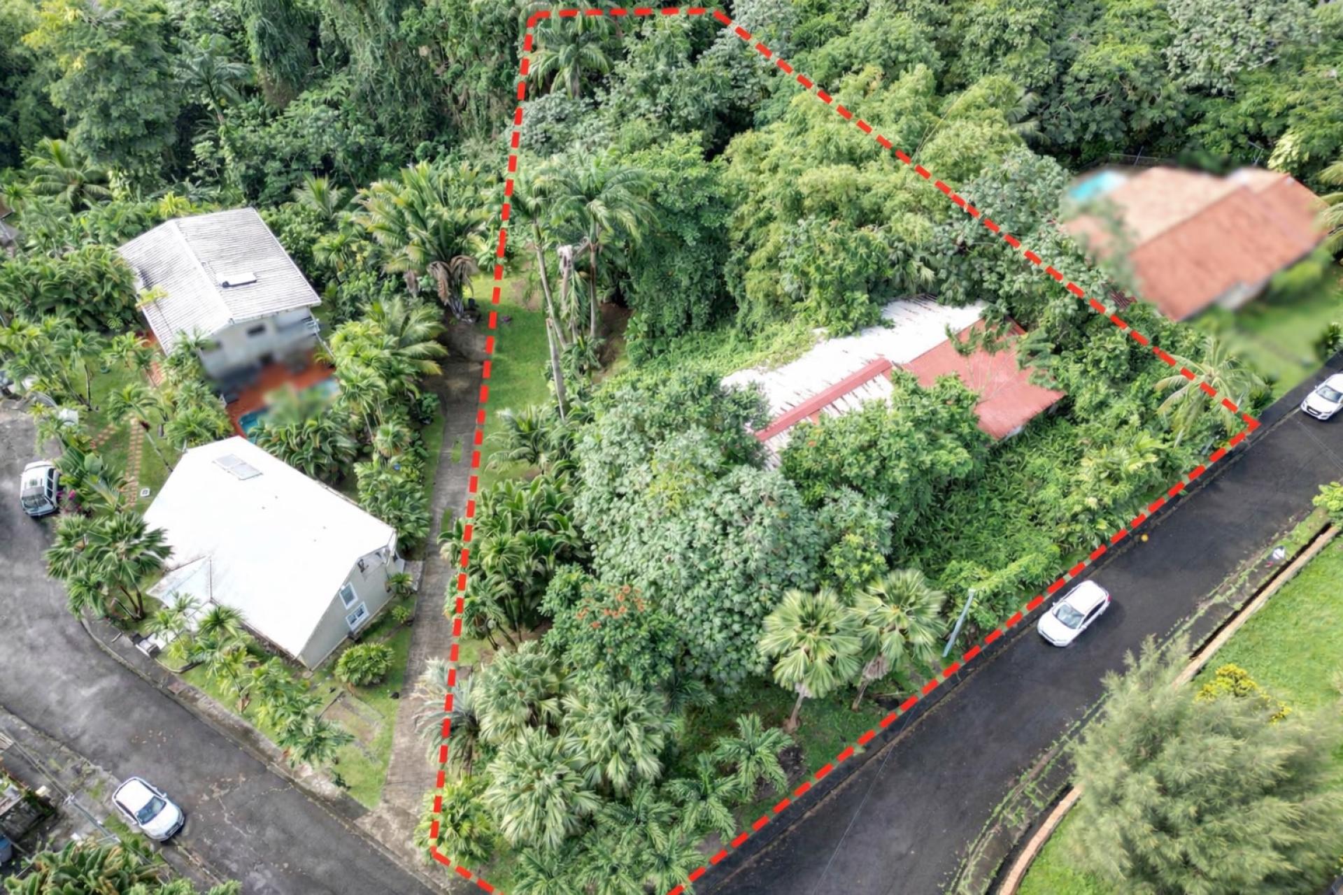 Photo 2 de l'annonce.