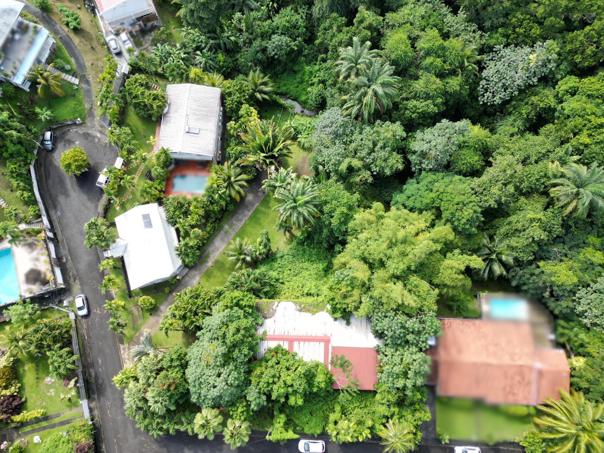 Photo 3 de l'annonce.