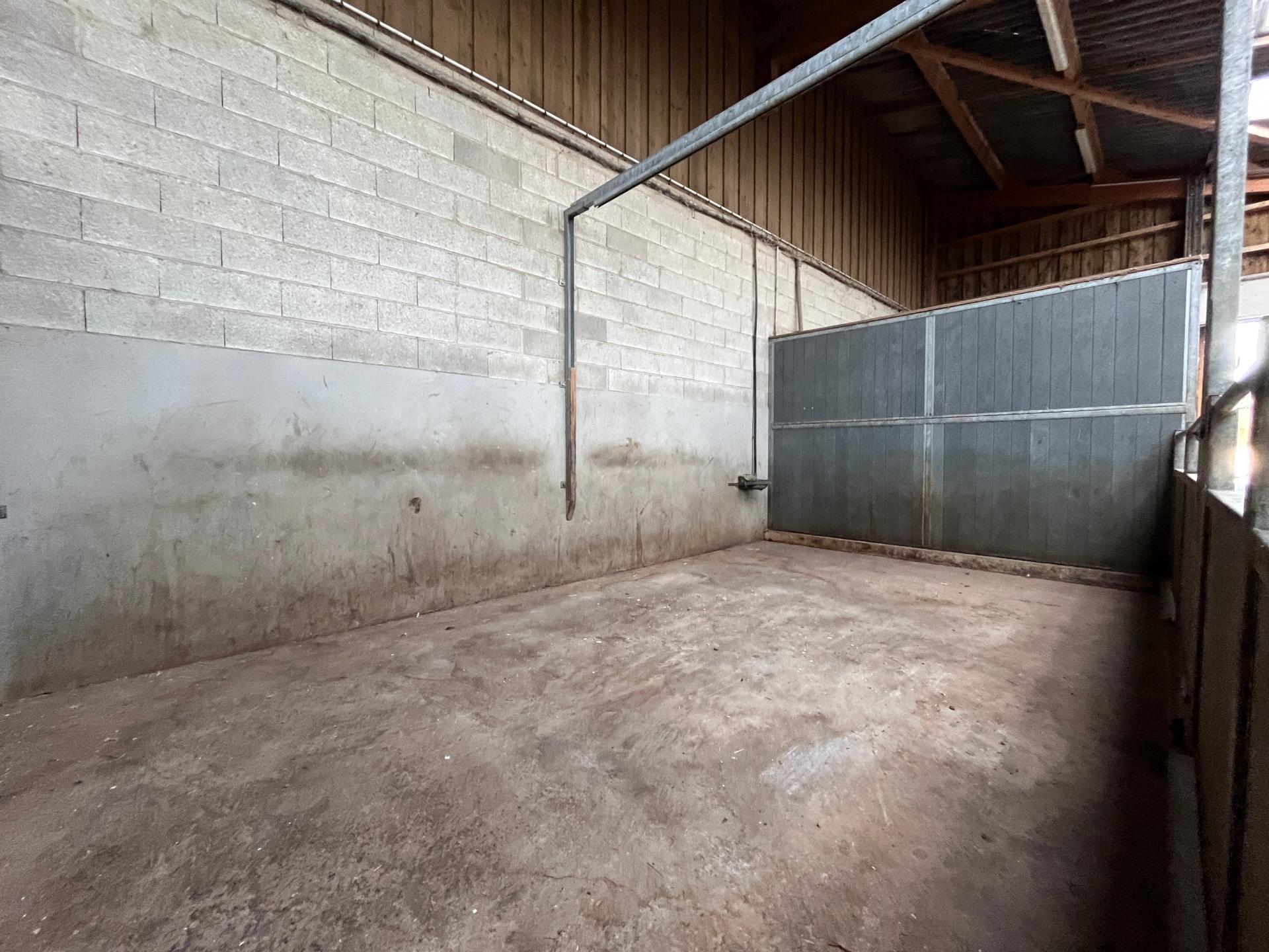 Photo 7 de l'annonce.