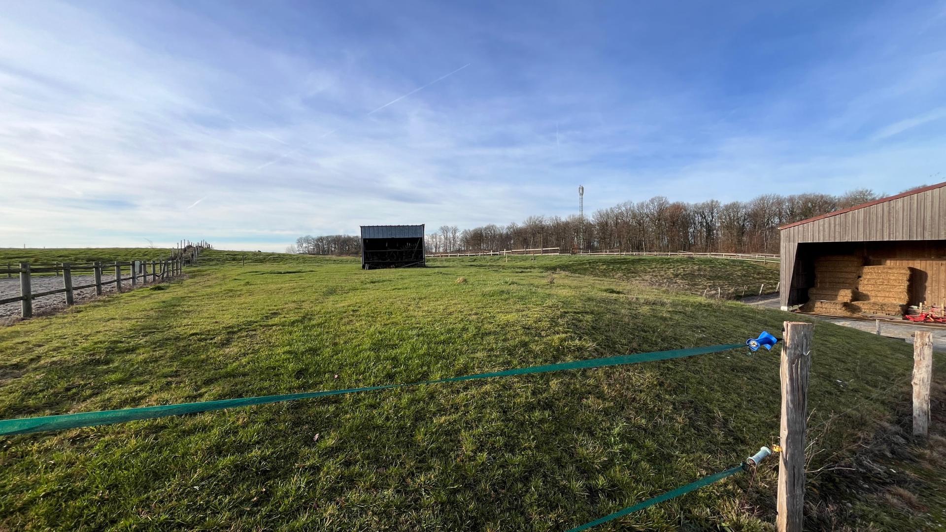 Photo 9 de l'annonce.