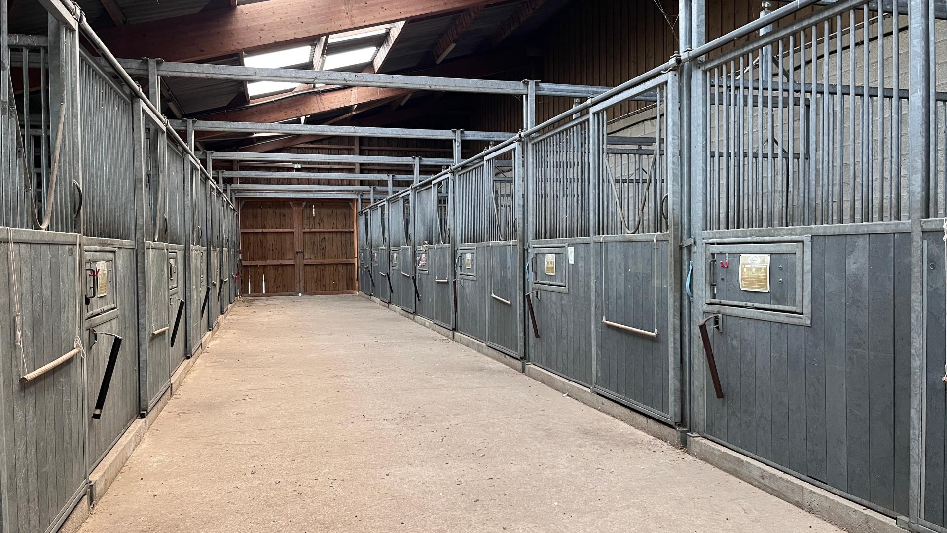 Photo 6 de l'annonce.