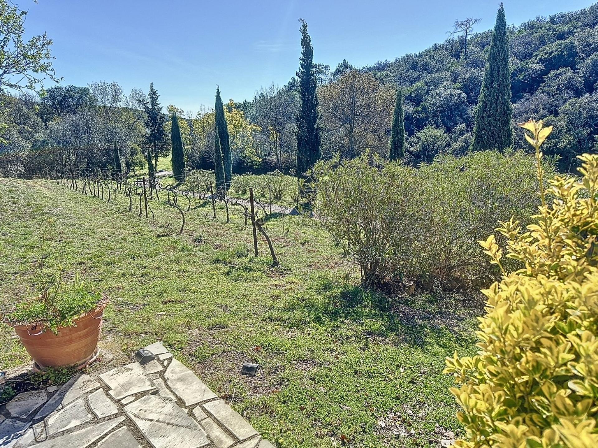 Photo 8 de l'annonce.