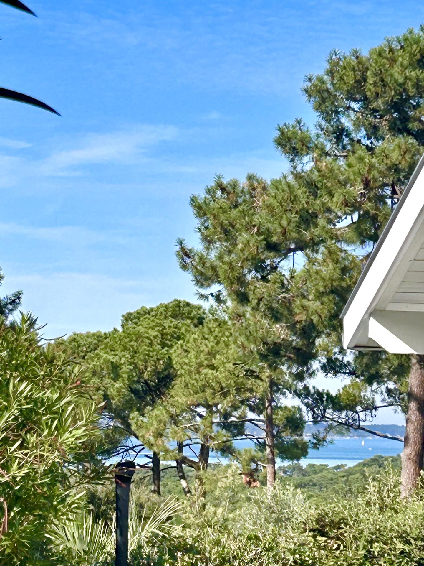 Photo 4 de l'annonce.