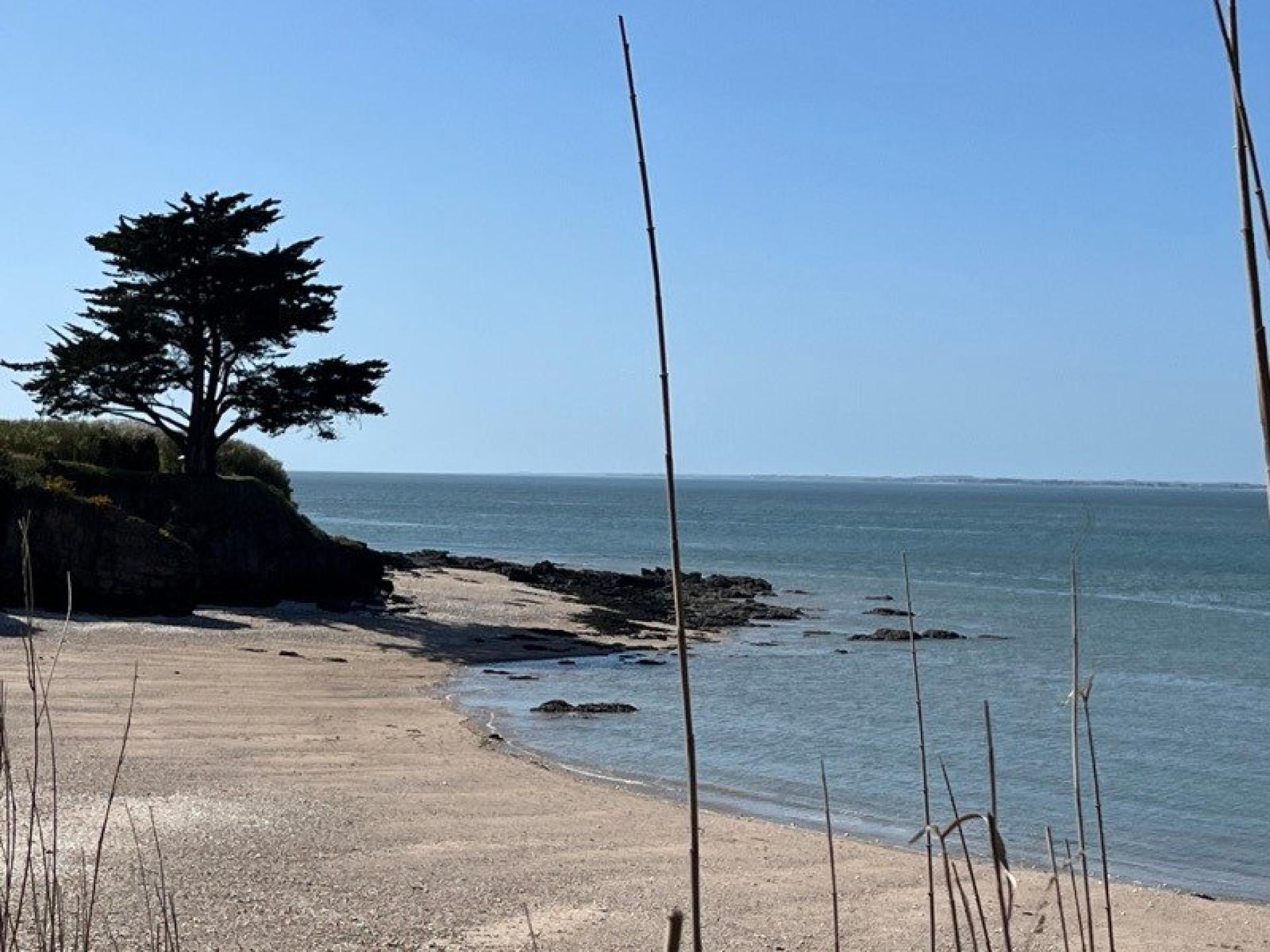 Photo 12 de l'annonce.