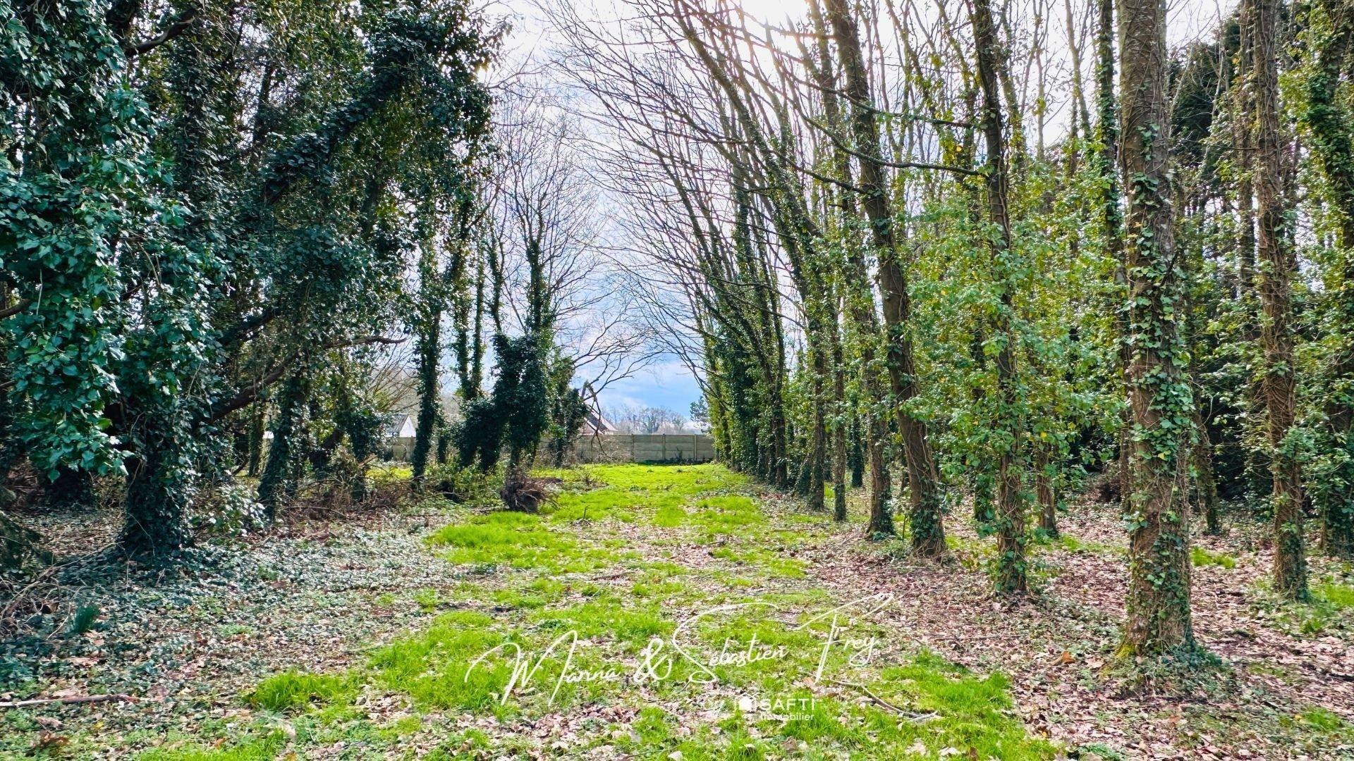 Photo 18 de l'annonce.