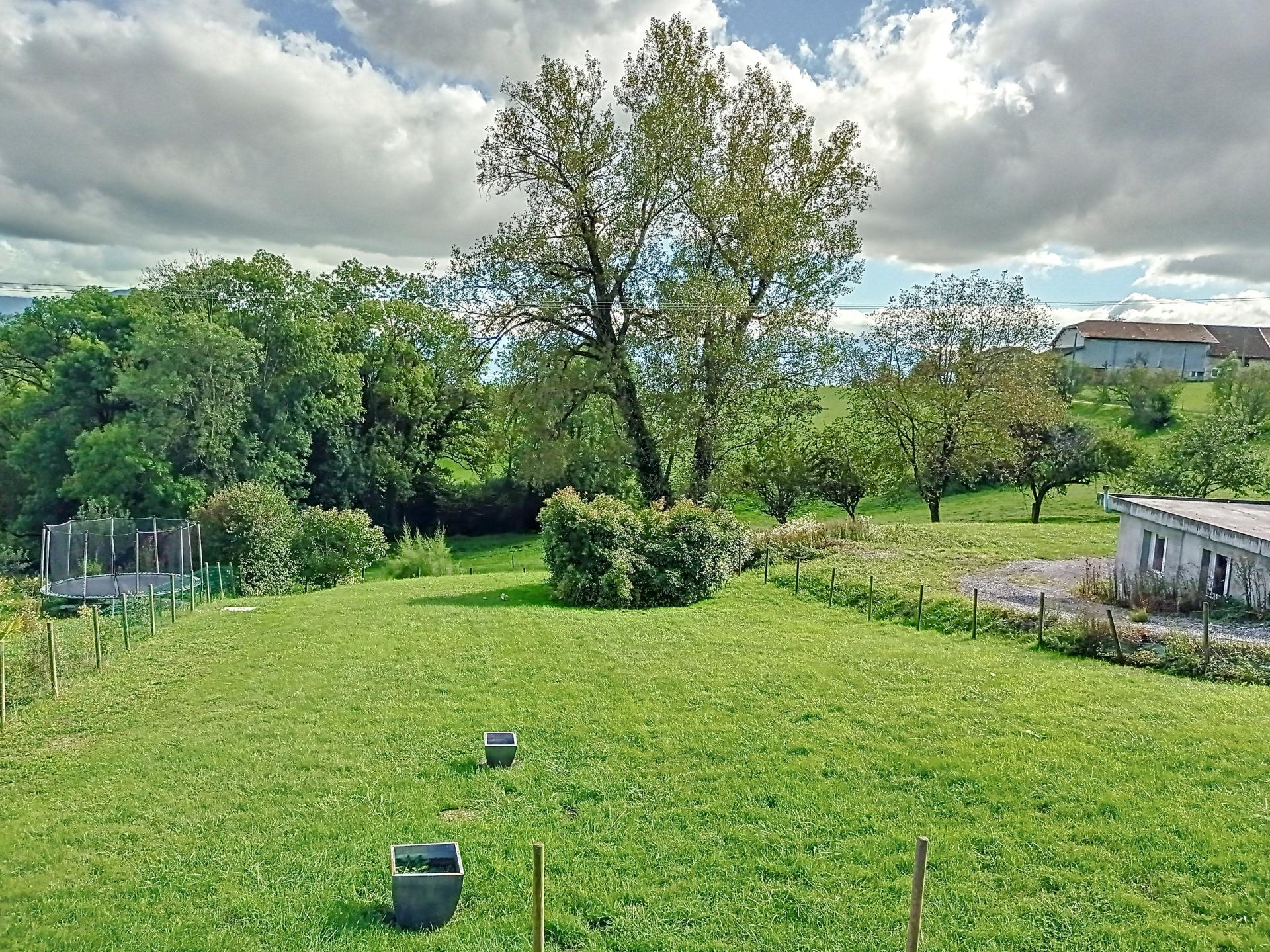 Photo 7 de l'annonce.