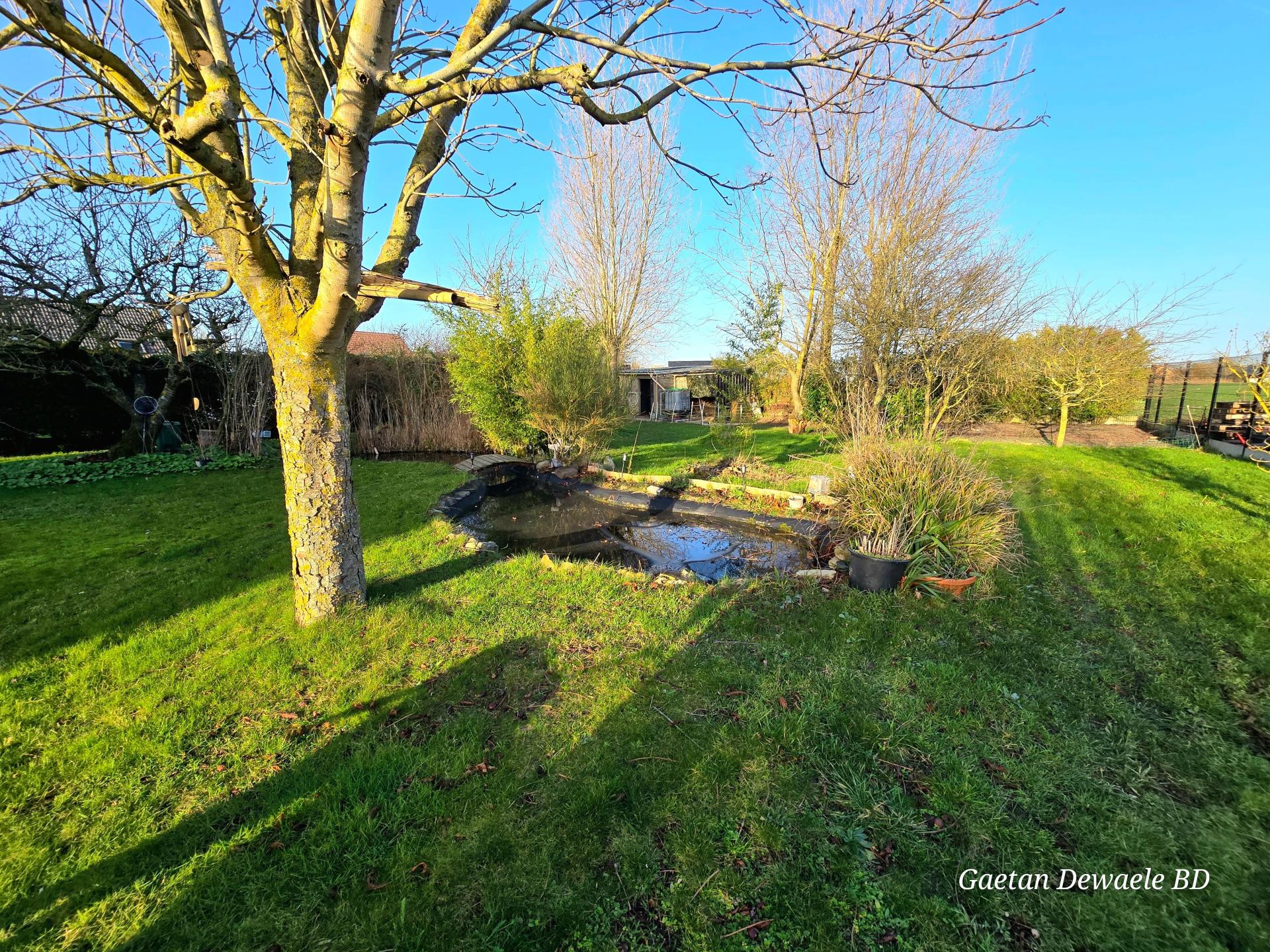 Photo 13 de l'annonce.