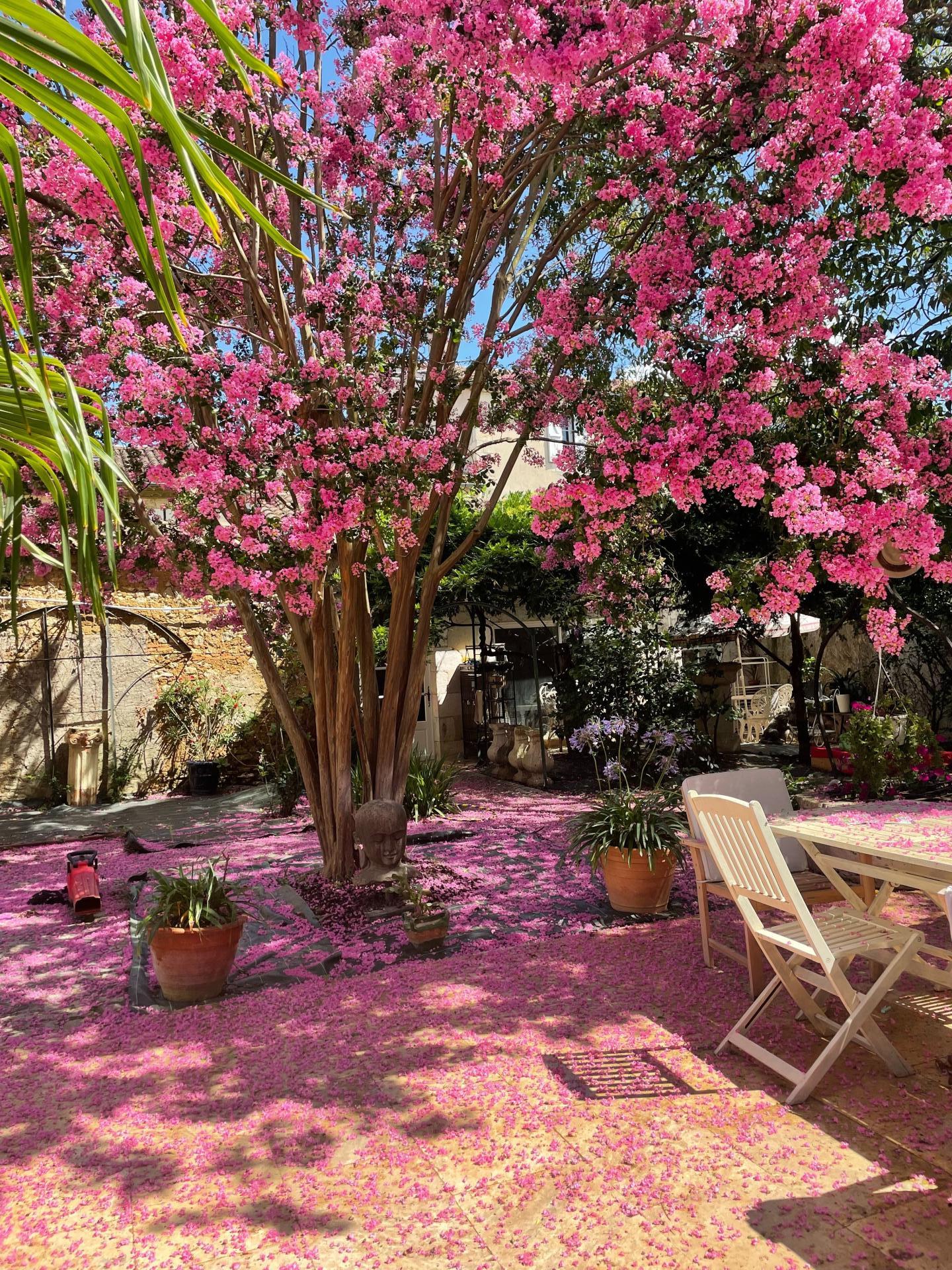 Photo 14 de l'annonce.