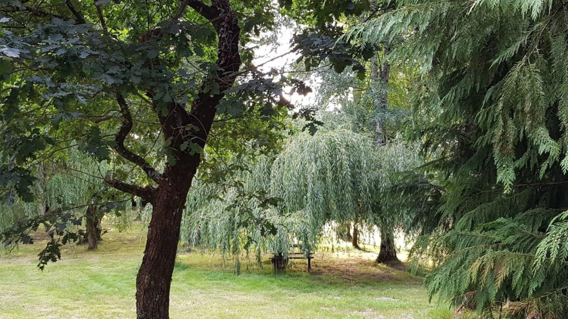 Photo 16 de l'annonce.